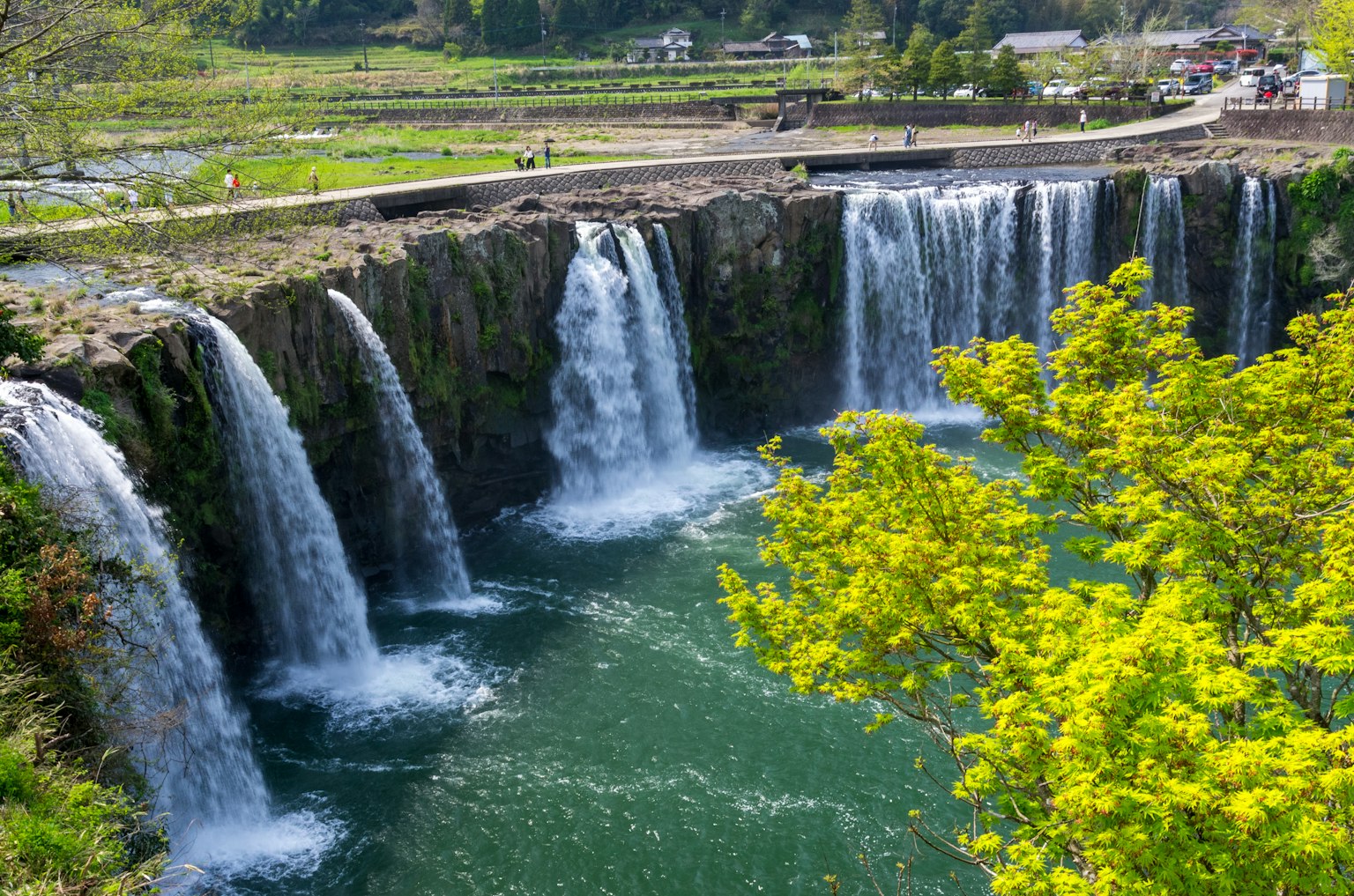 Air terjun yang indah dikelilingi oleh pepohonan hijau