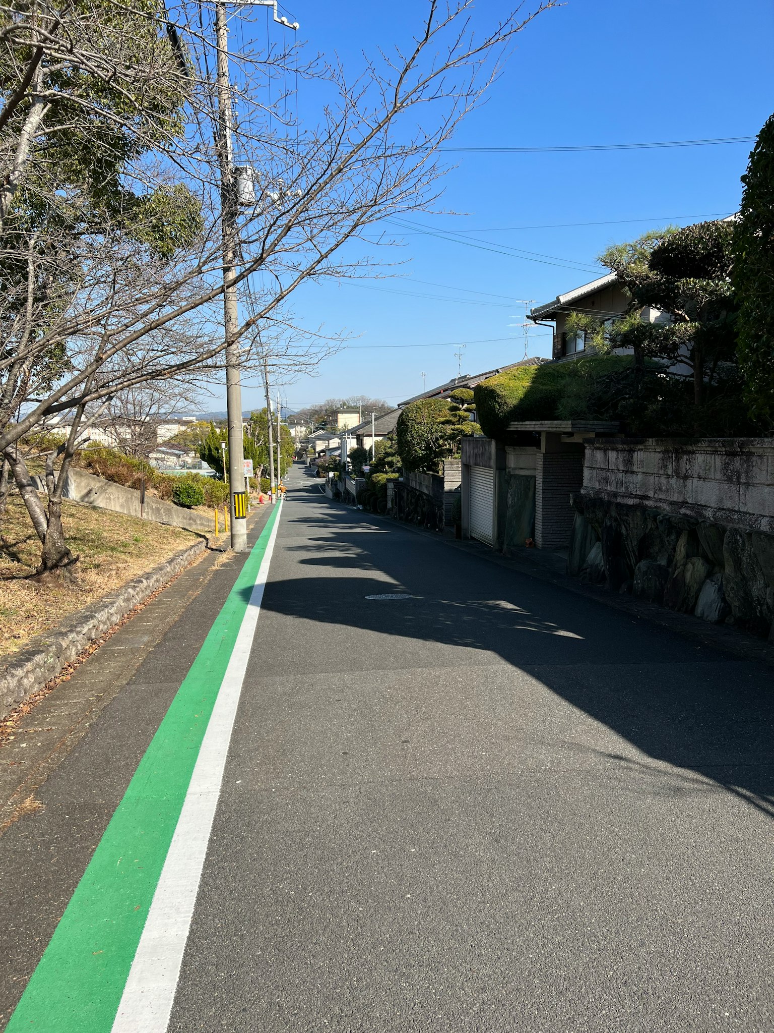 Ruhige Wohnstraße mit grünem Radweg und klarem blauen Himmel
