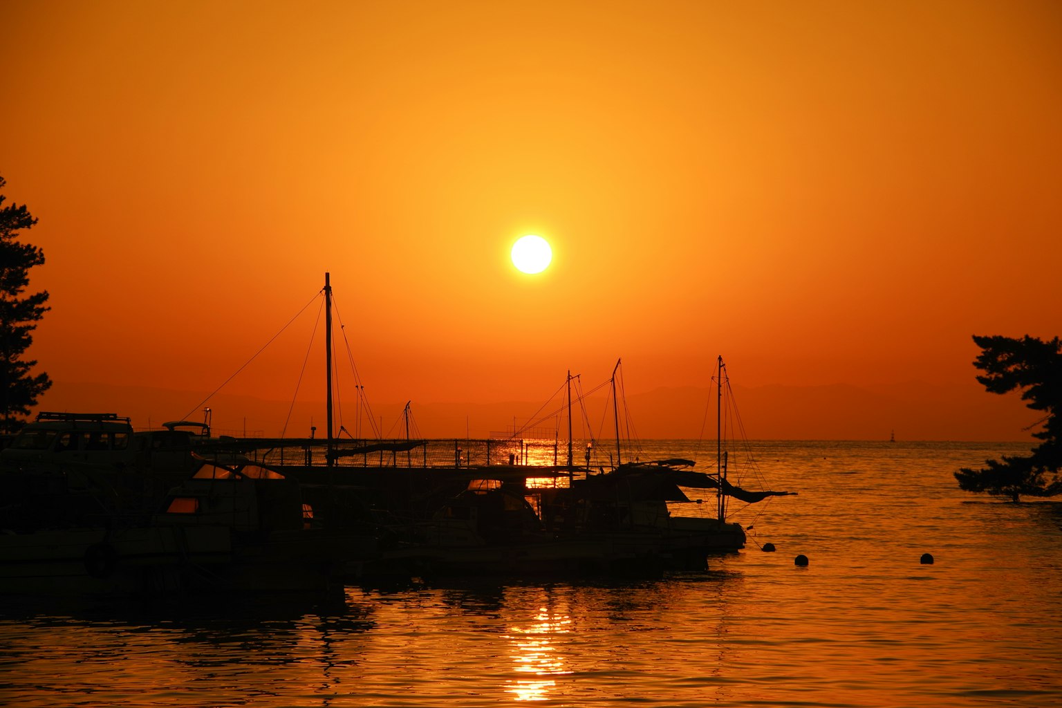 Magnifique coucher de soleil sur la mer avec des bateaux et des arbres en silhouette