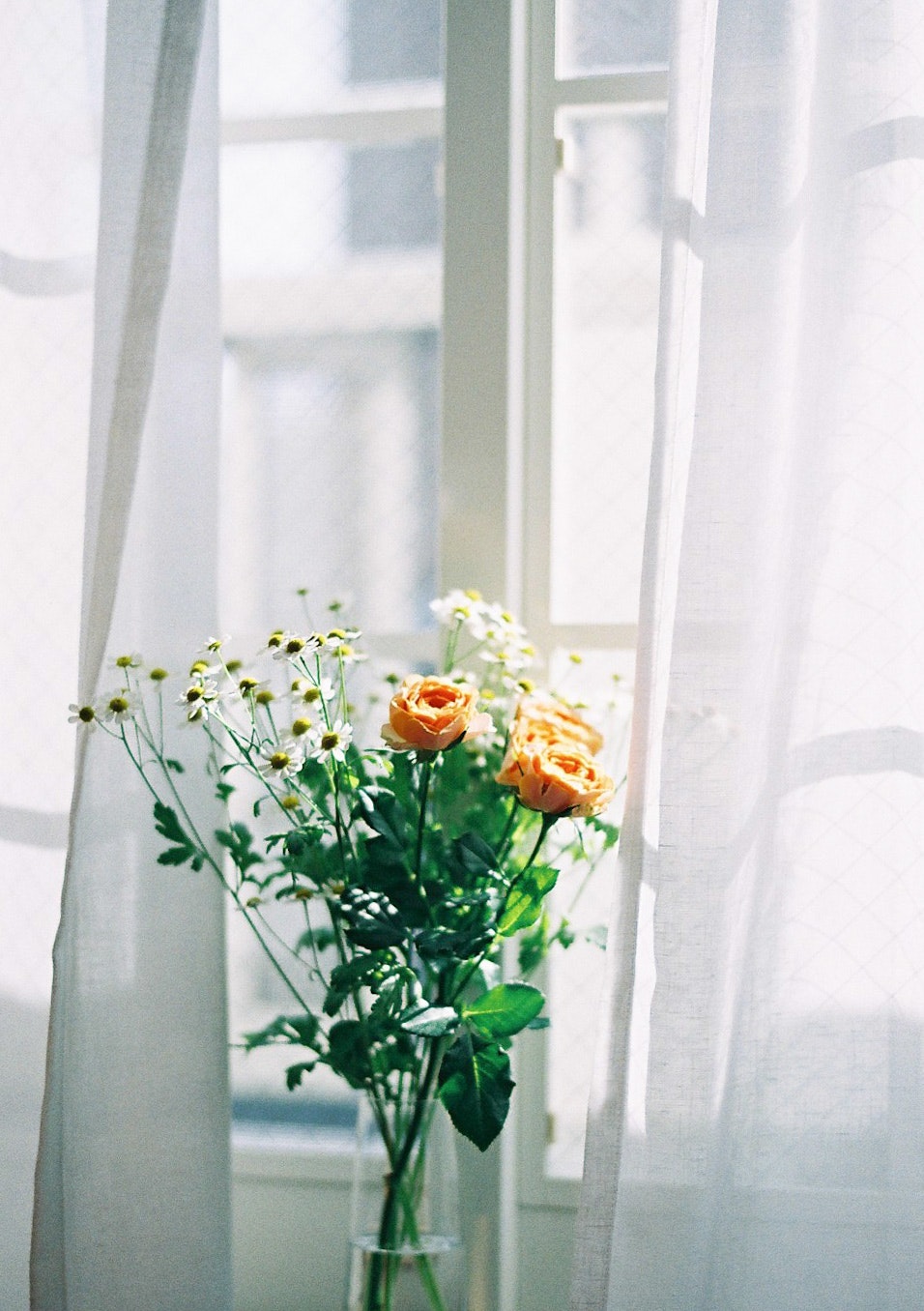 rose and wildflower bouquet in a vase by a window