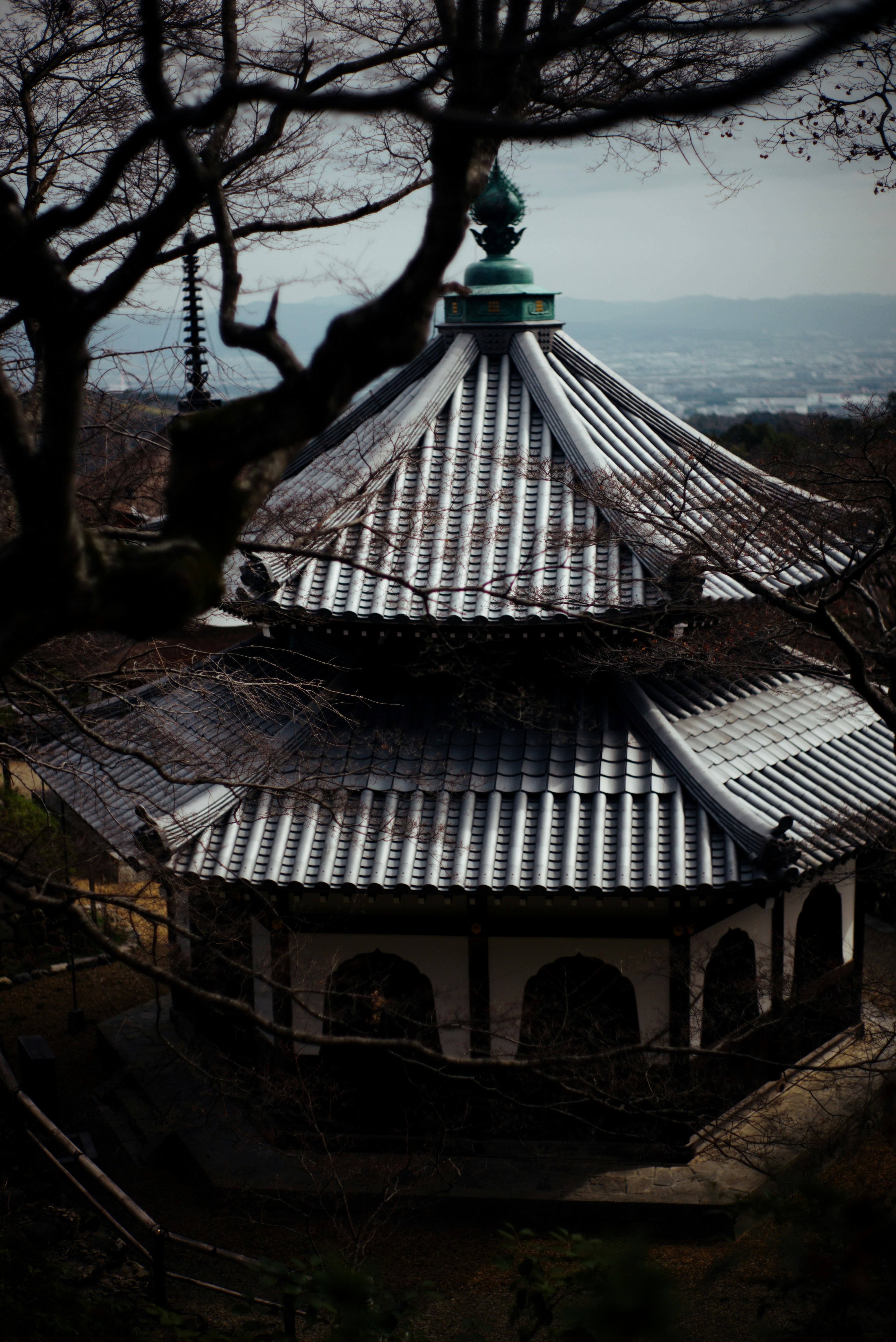 木々の間から見える伝統的な日本の寺院の屋根と装飾