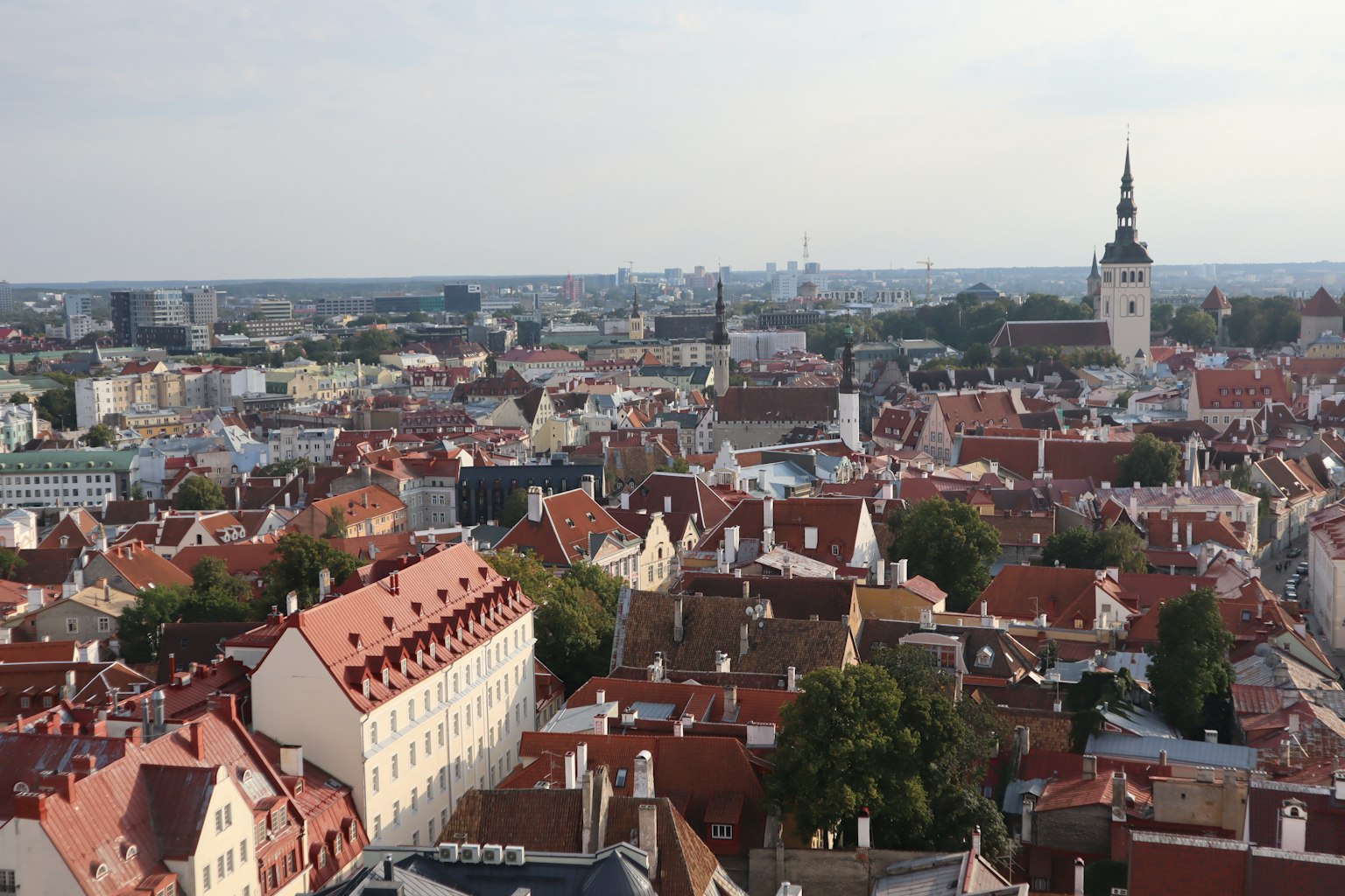 Panoramablick auf Tallinn mit roten Dächern und Skyline