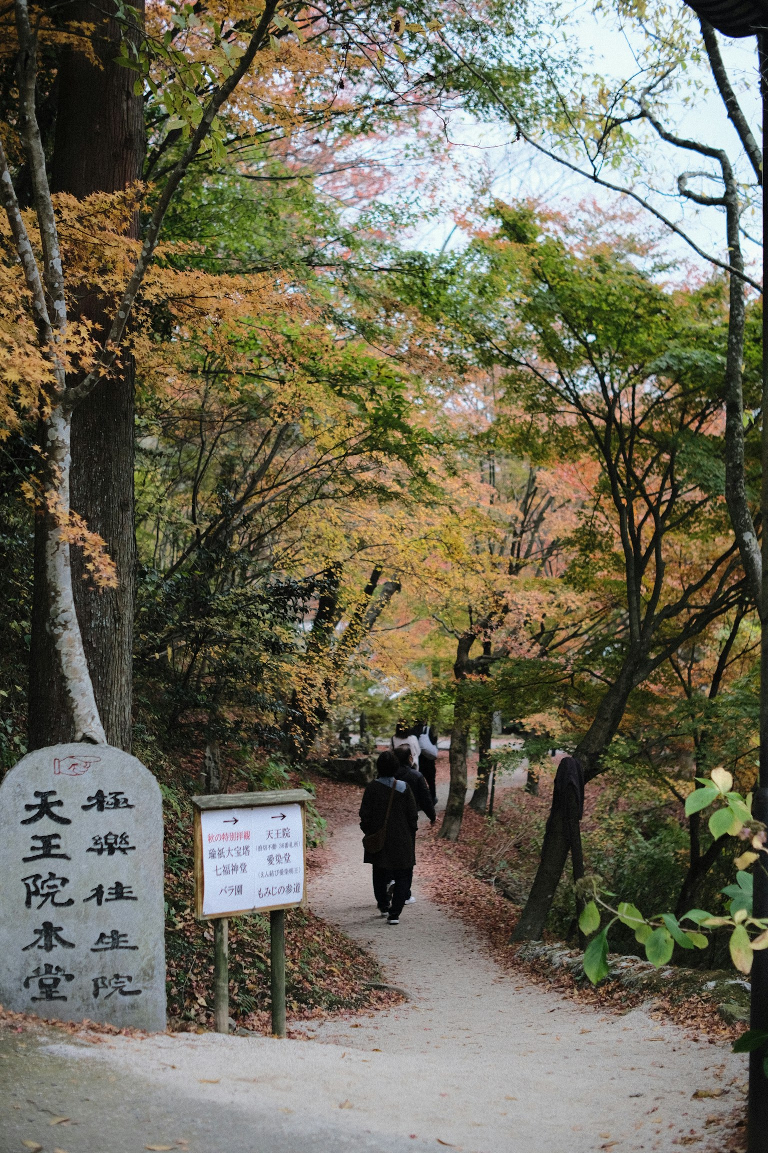 A person walking along a path surrounded by autumn foliage and a stone sign