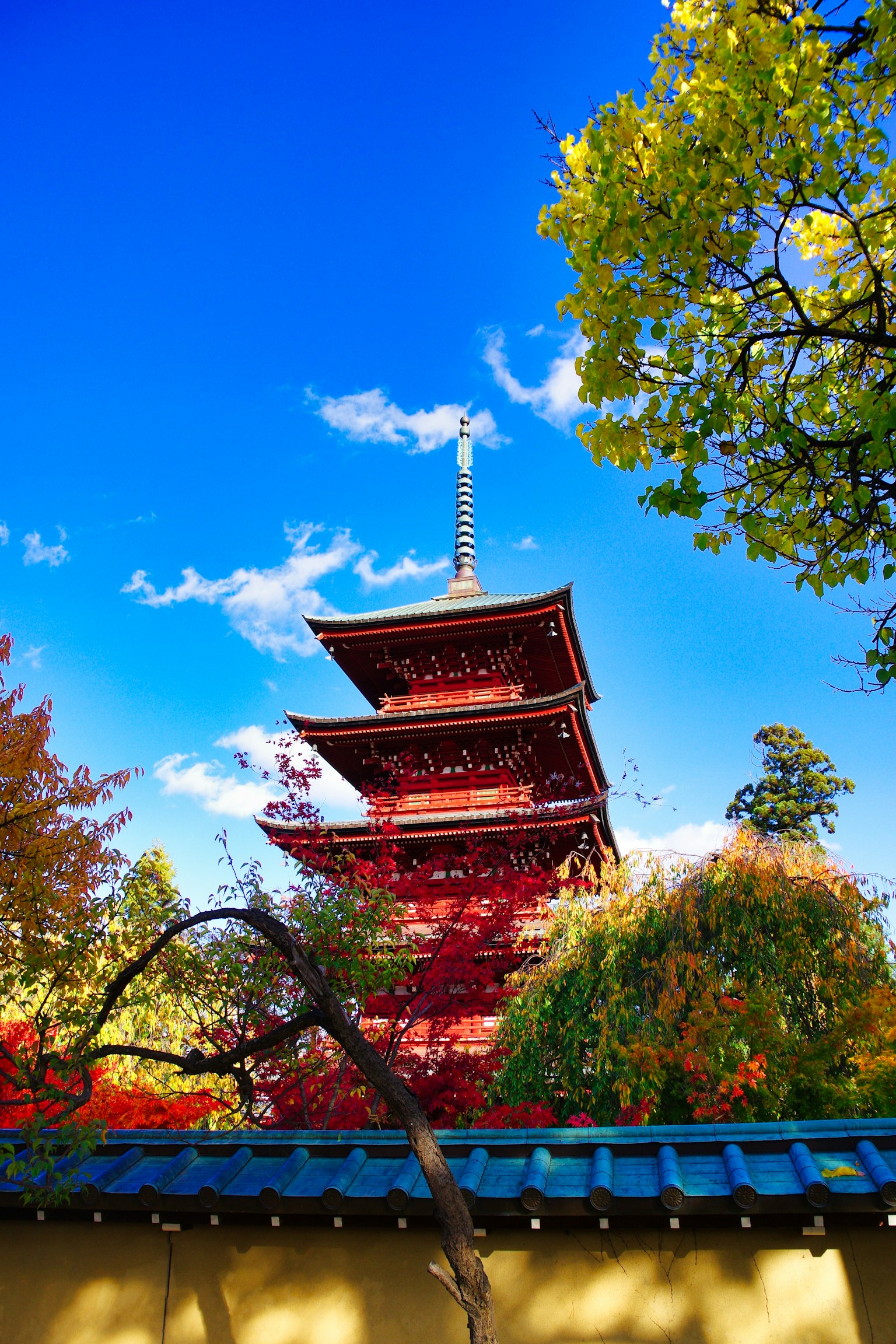 Pagoda rossa a cinque piani sotto un cielo blu con alberi colorati
