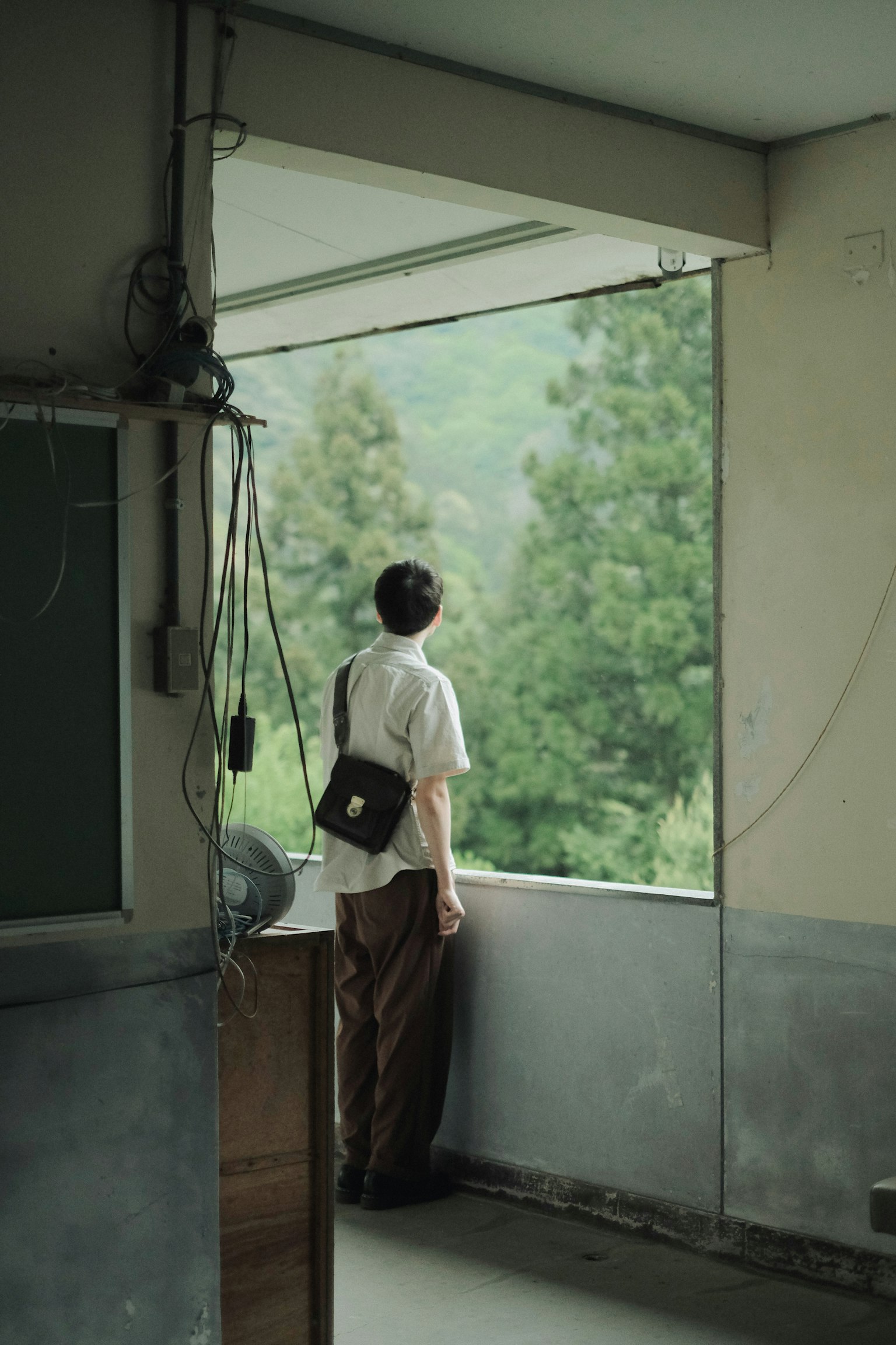 Man looking out of a window with a view of lush greenery