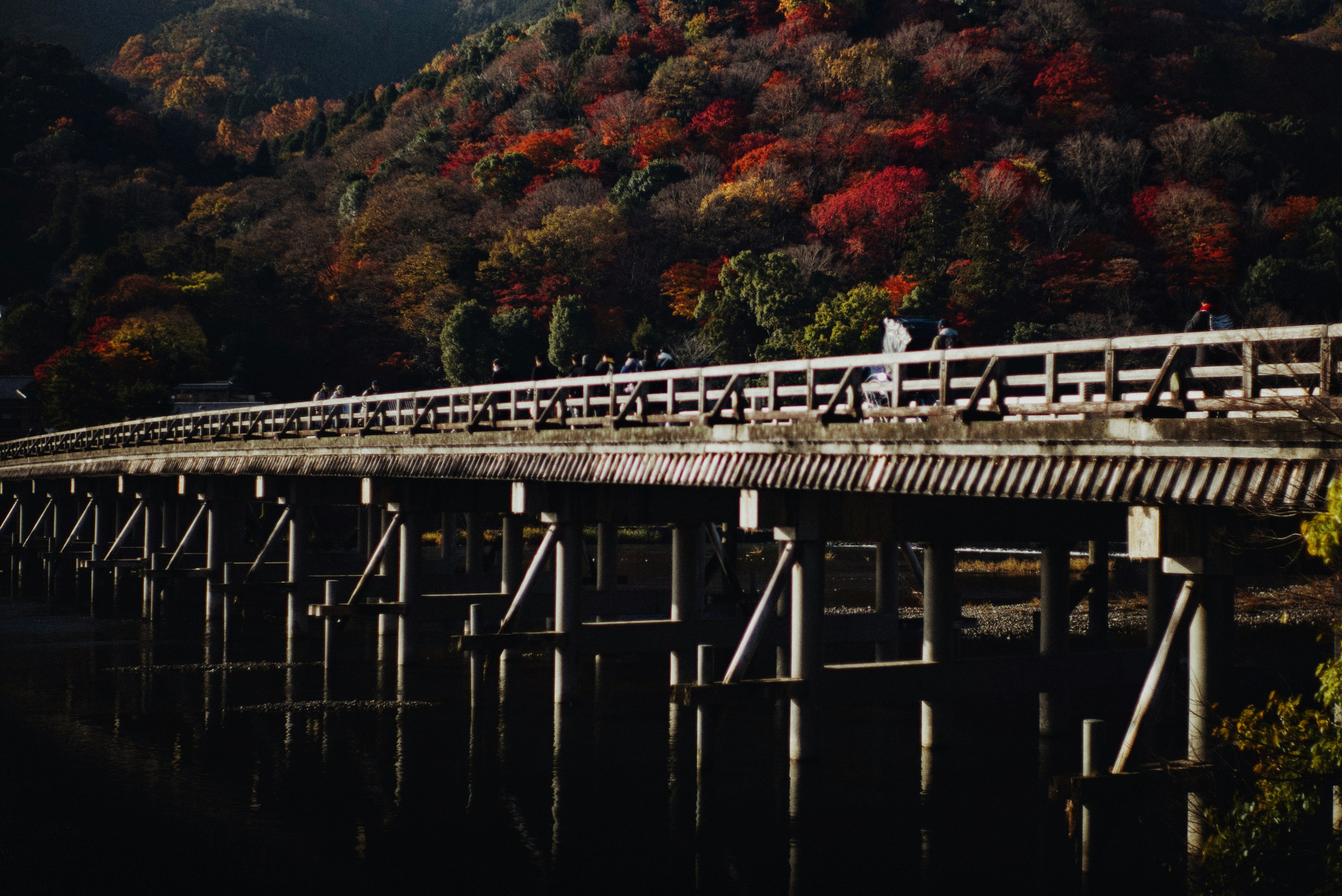 紅葉の山並みと渡月橋のある川沿いの景色