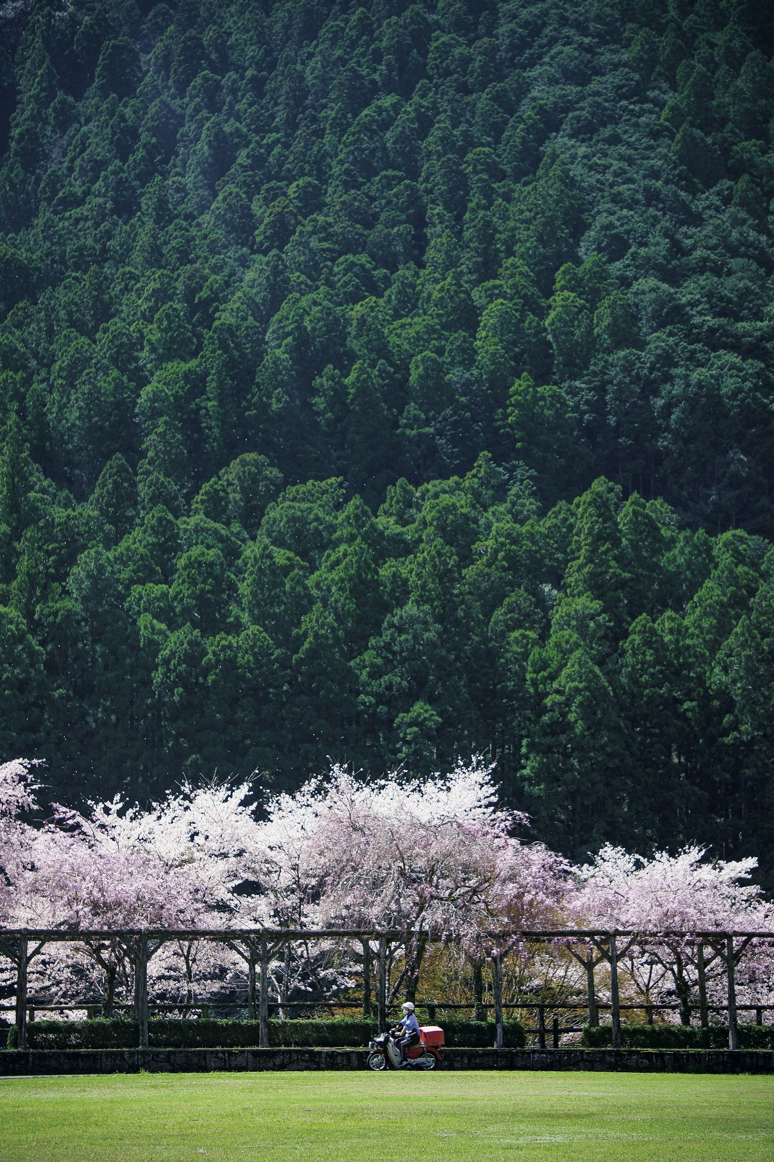 photo-enbpCbMB7GLXRNkie57x-image