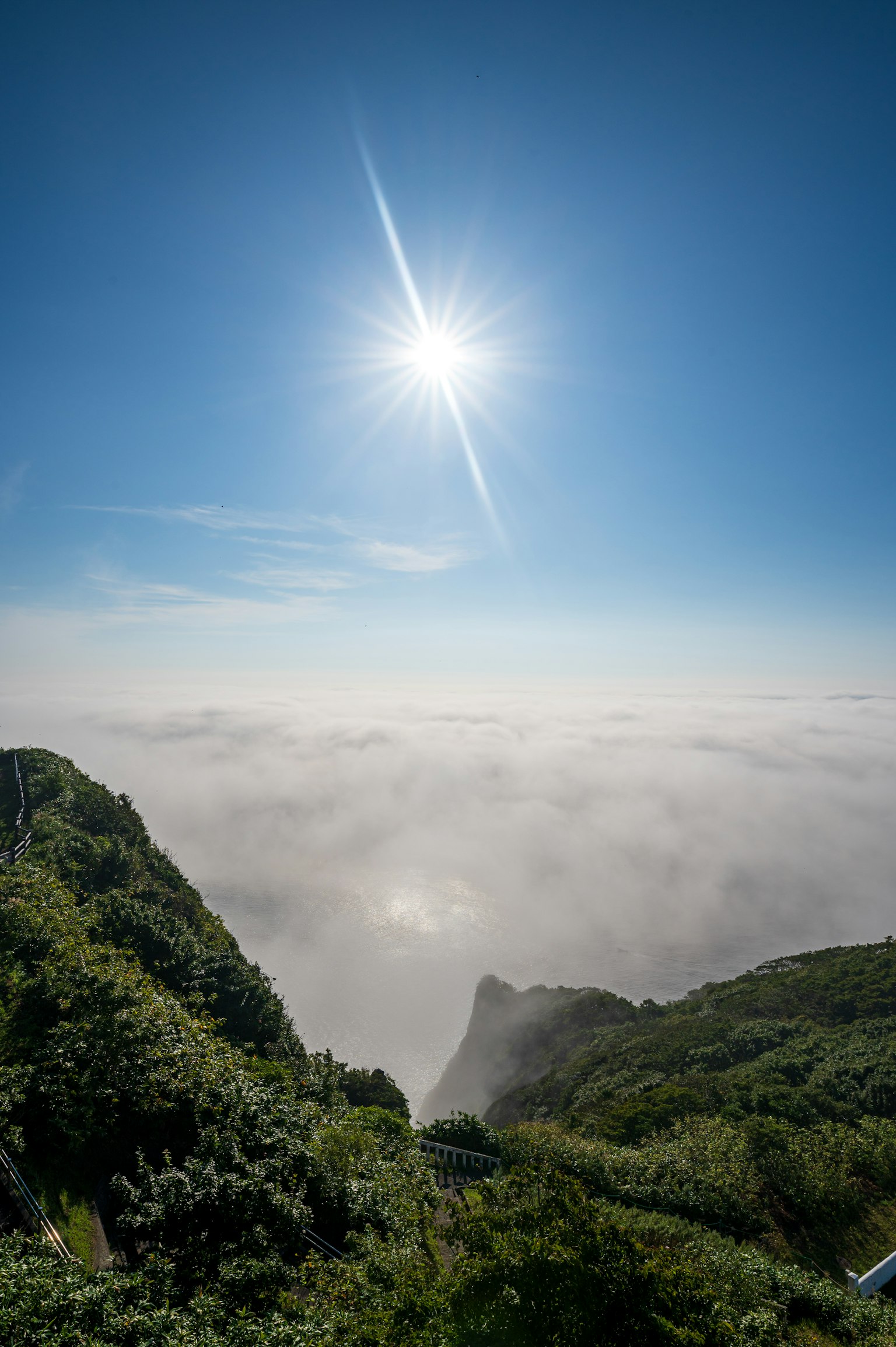 在明亮的蓝天和阳光下，绿山被云海环绕的风景