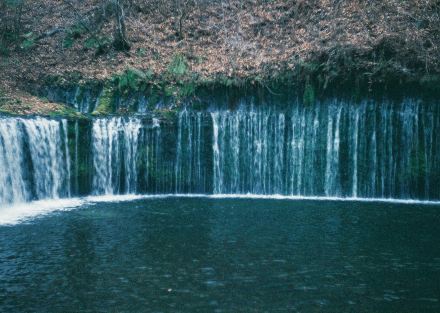 Cascada que cae en una piscina serena rodeada de naturaleza