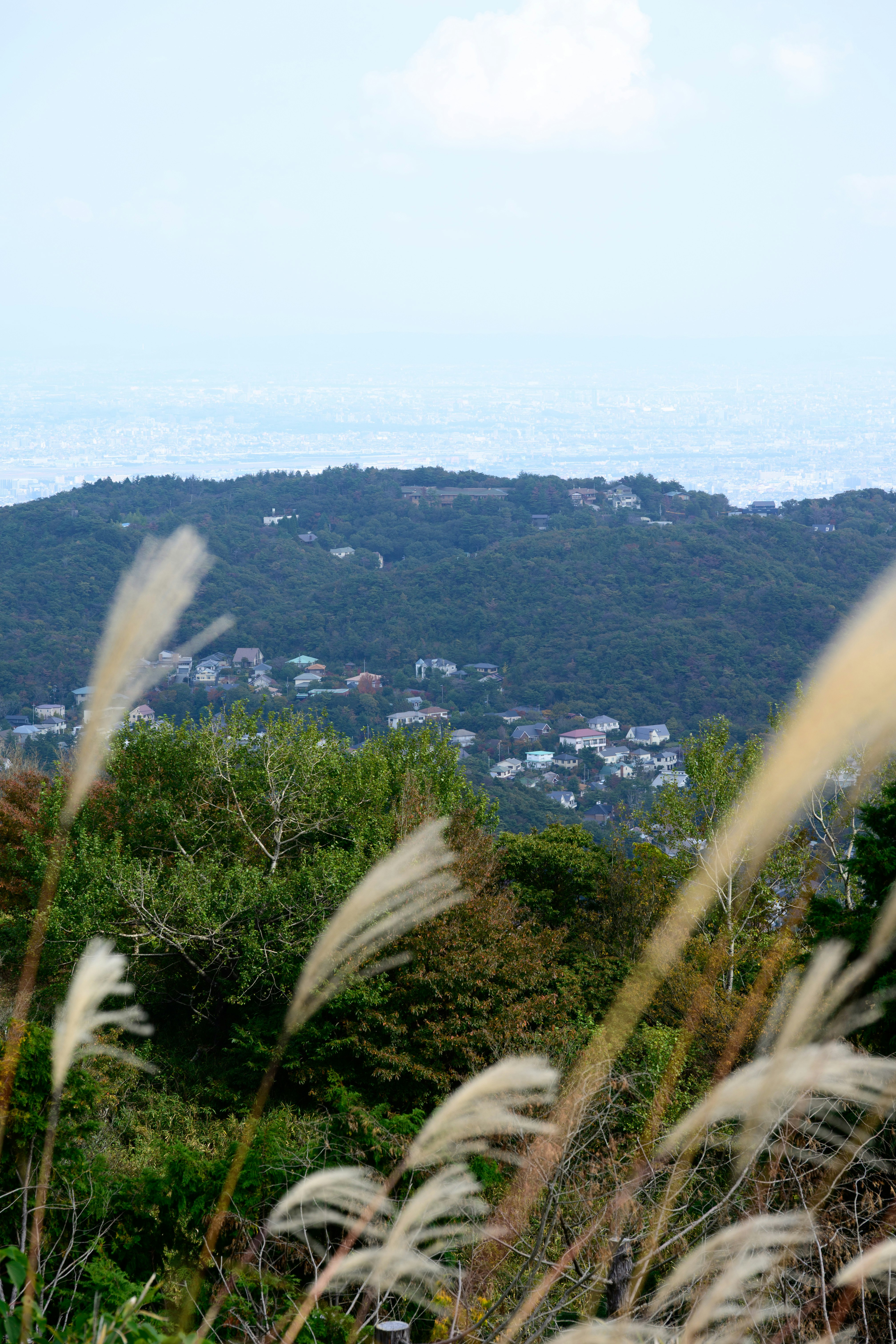 丘陵の緑と街並みを望む自然の景色