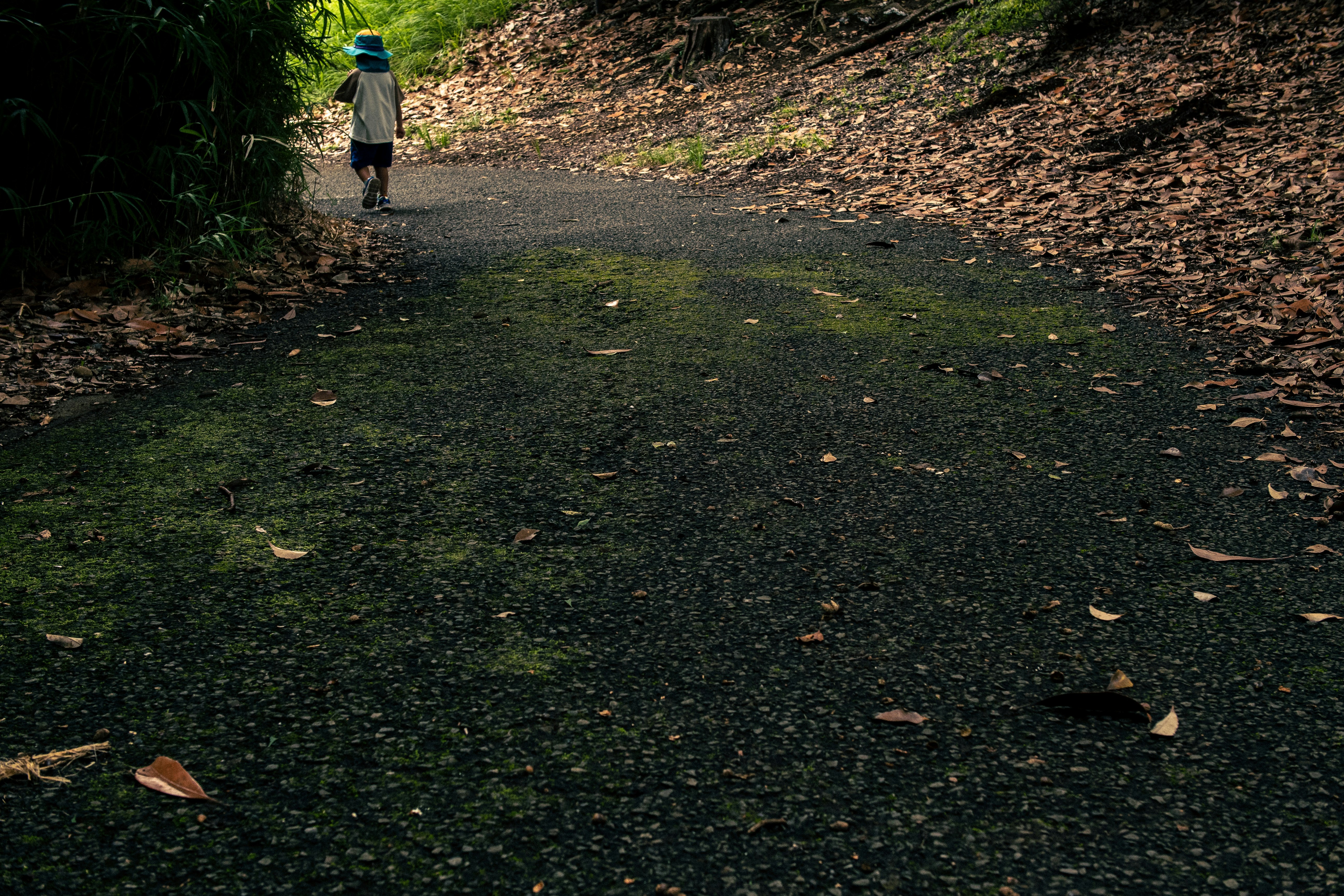 a person walking along a leaf-covered path in a wooded area