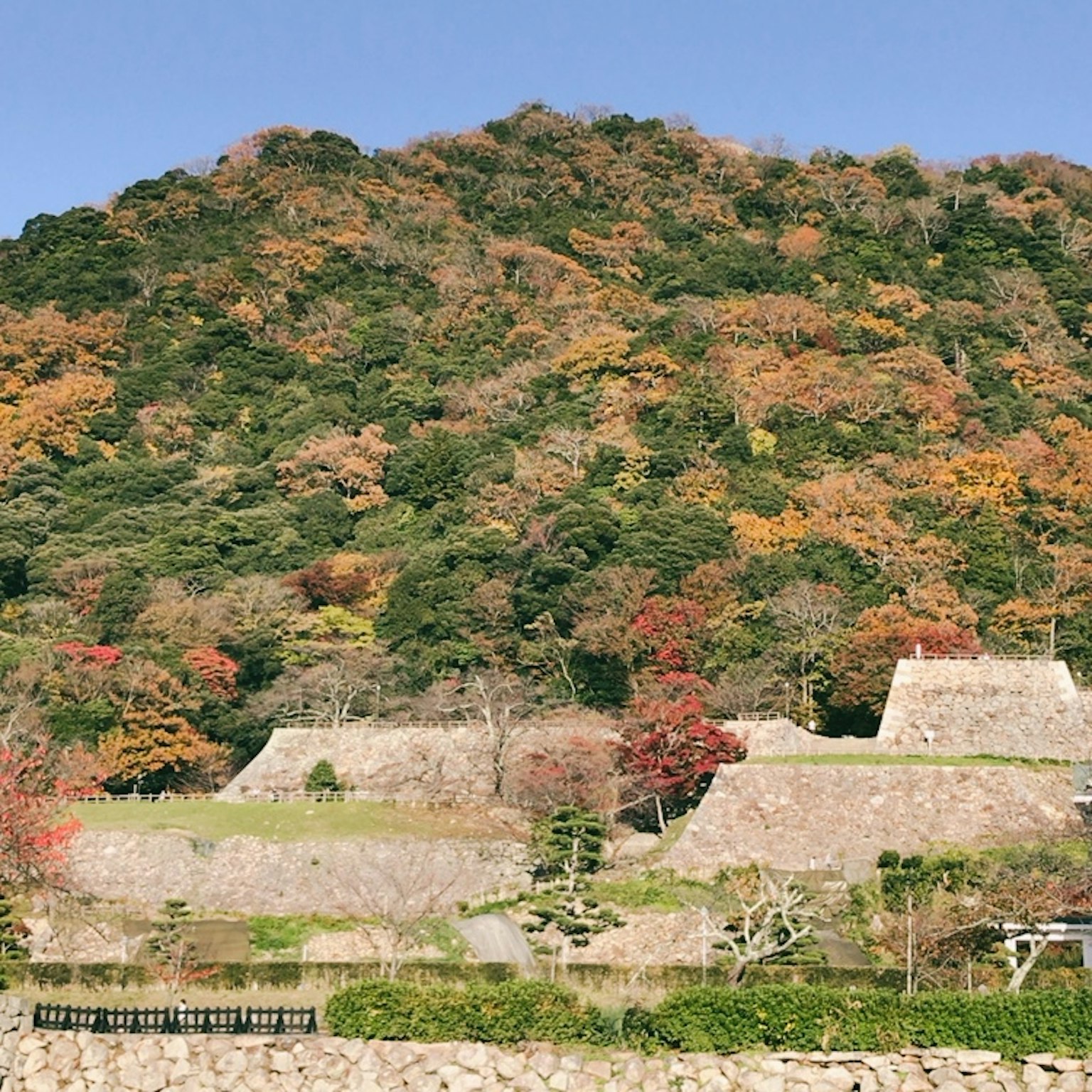 Ruines de château historiques entourées de feuillage automnal coloré