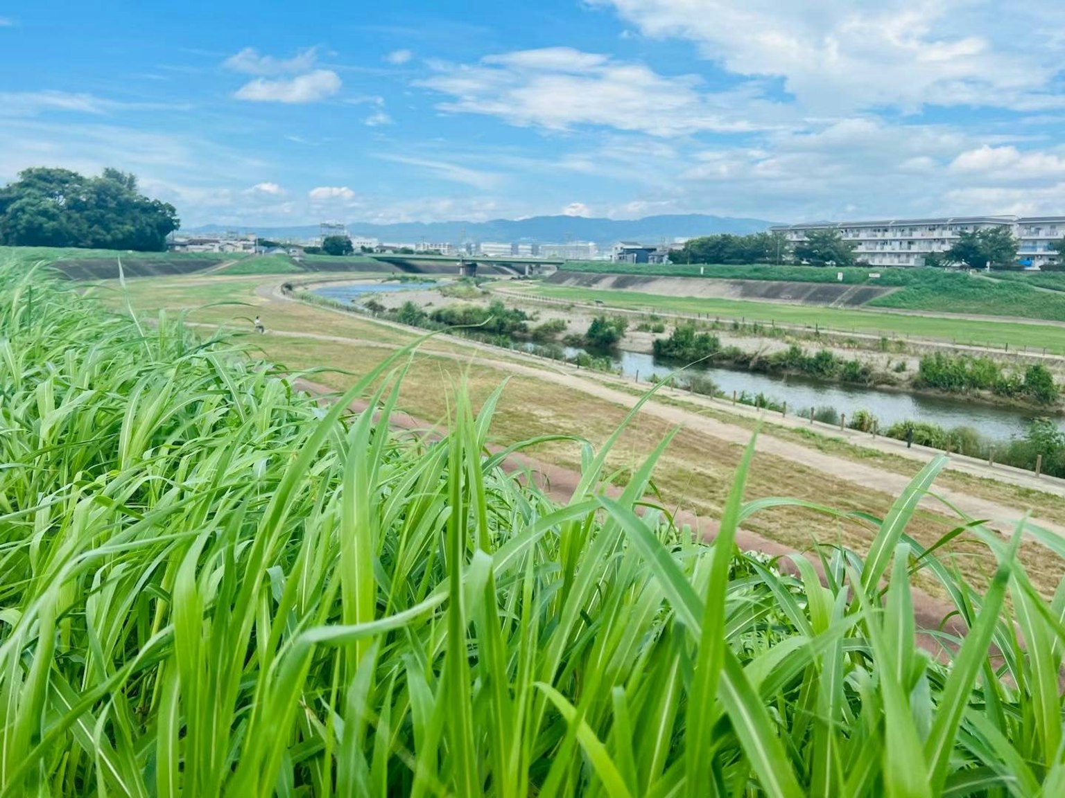 Pemandangan indah rumput hijau di bawah langit biru dengan sungai dan bukit jauh