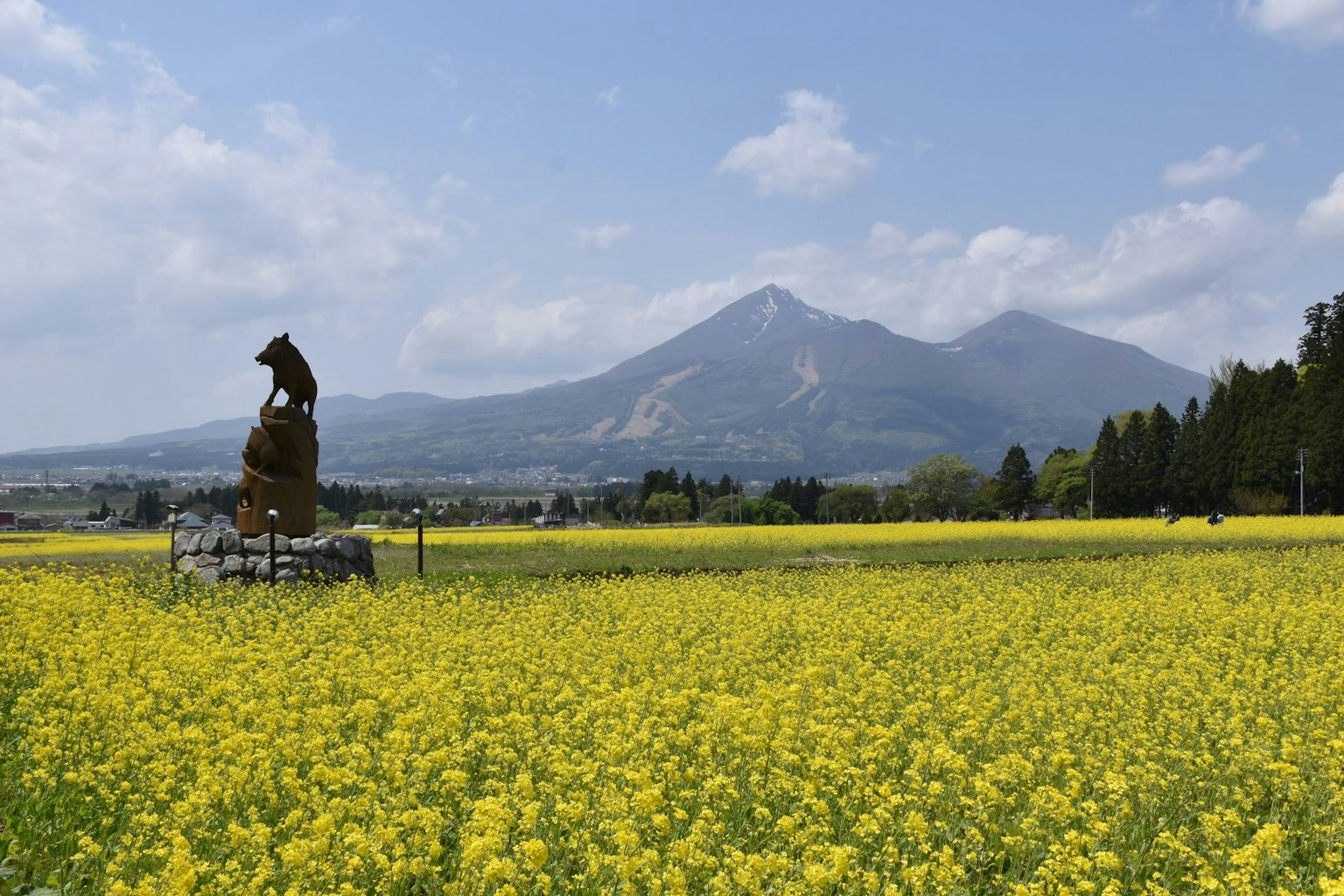 Sculpture dans un champ de fleurs jaunes avec des montagnes en arrière-plan