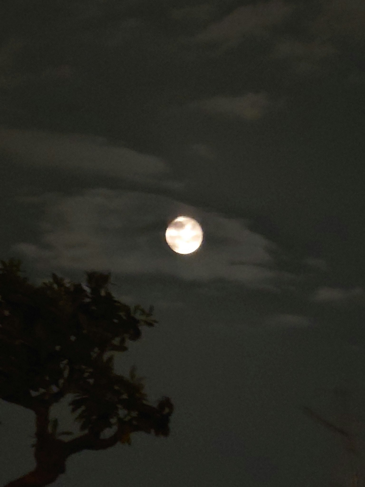 Pleine lune dans le ciel nocturne avec des nuages