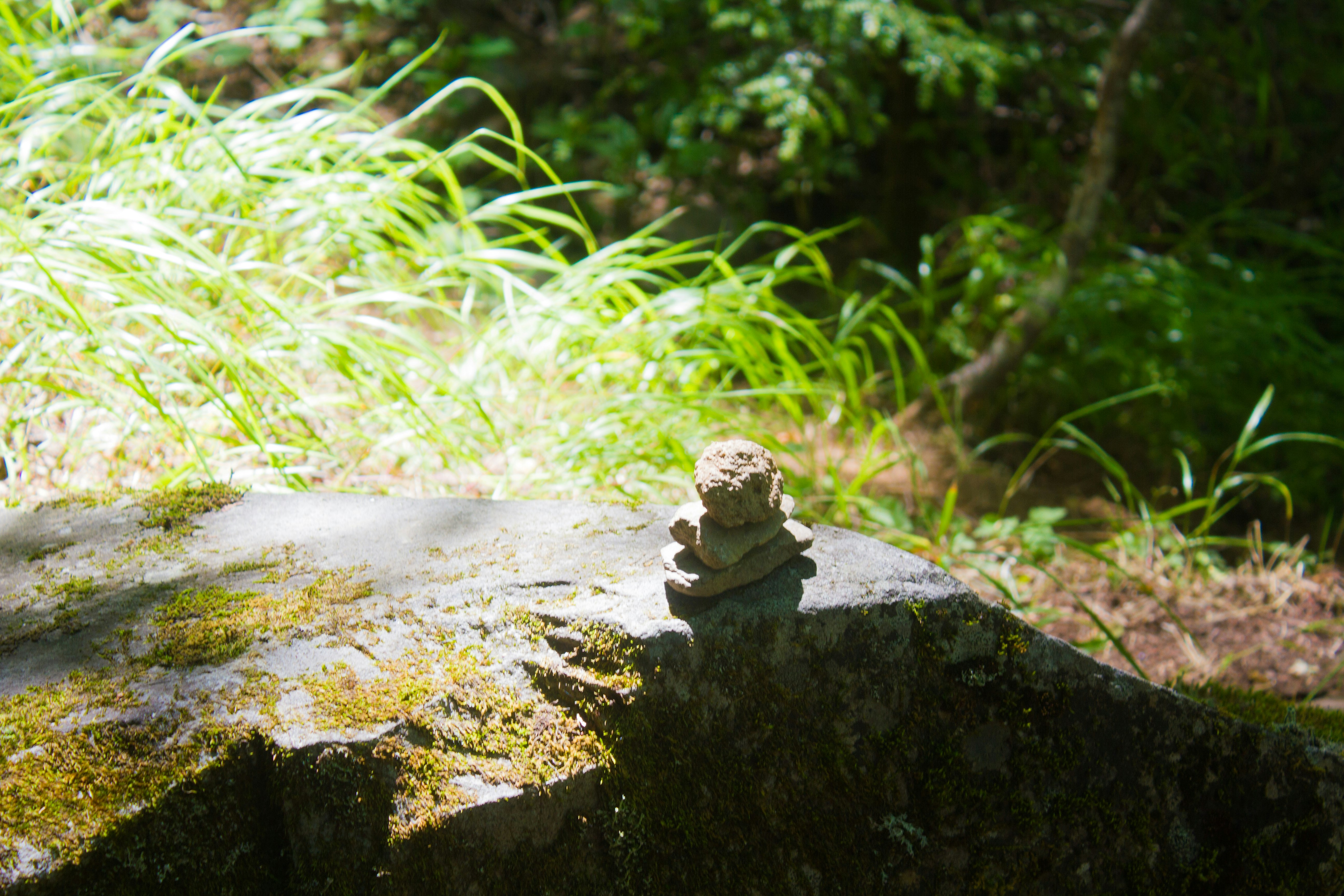 petite statue en pierre sur des rochers couverts de mousse et verdure de forêt