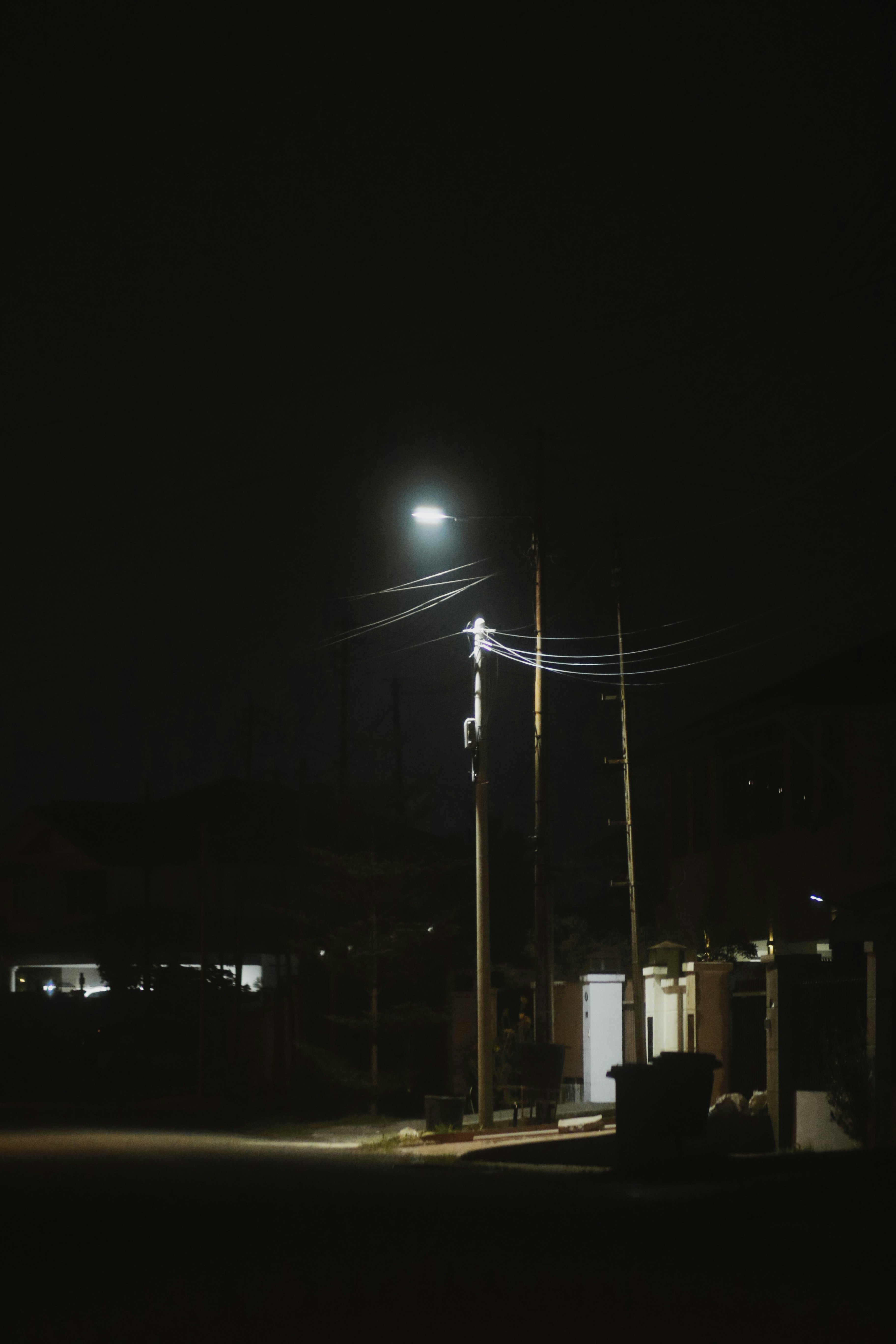 霧の夜に街灯が立つ路上の風景