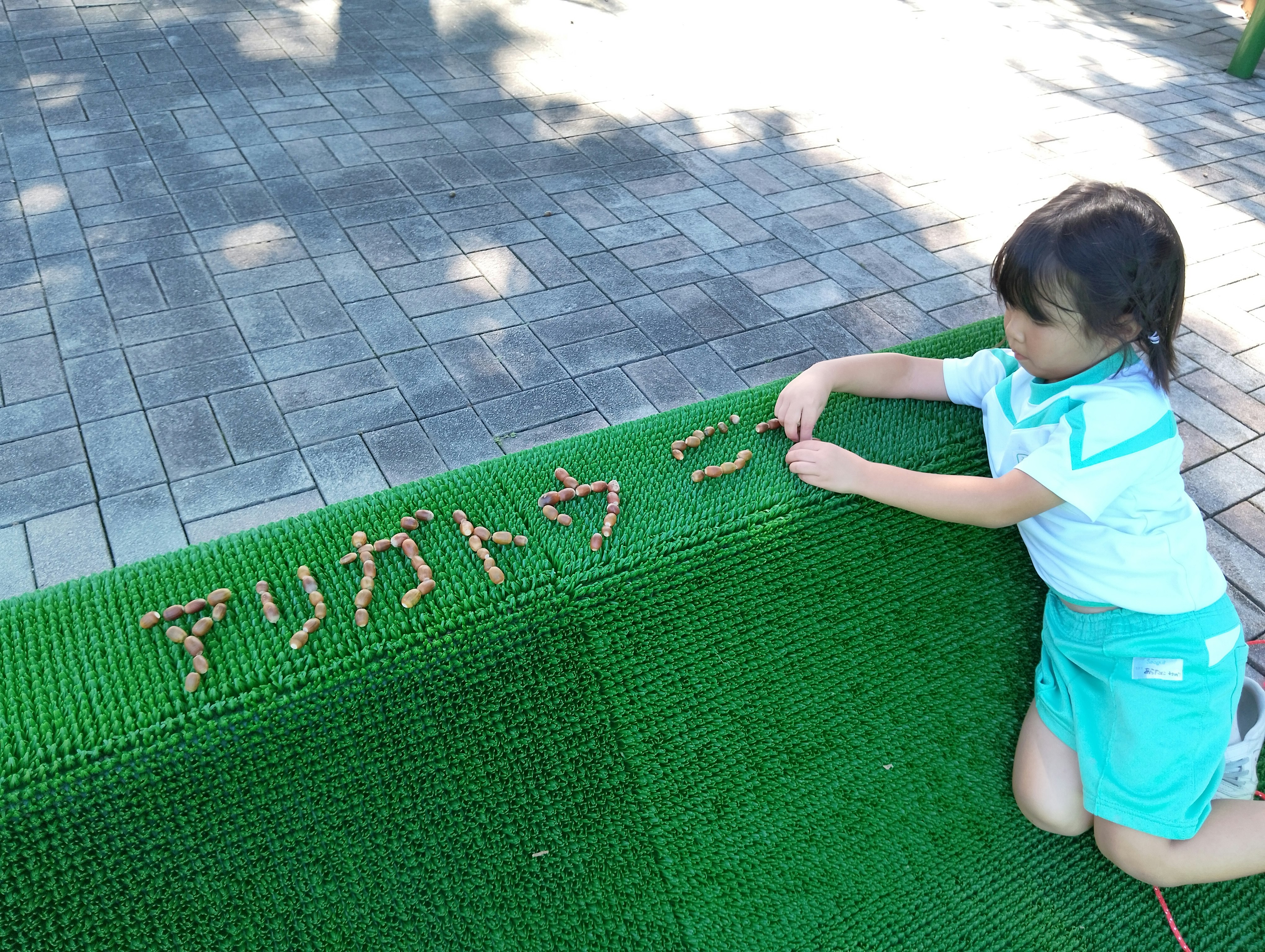 anak bermain di rumput sambil menyusun biji ek