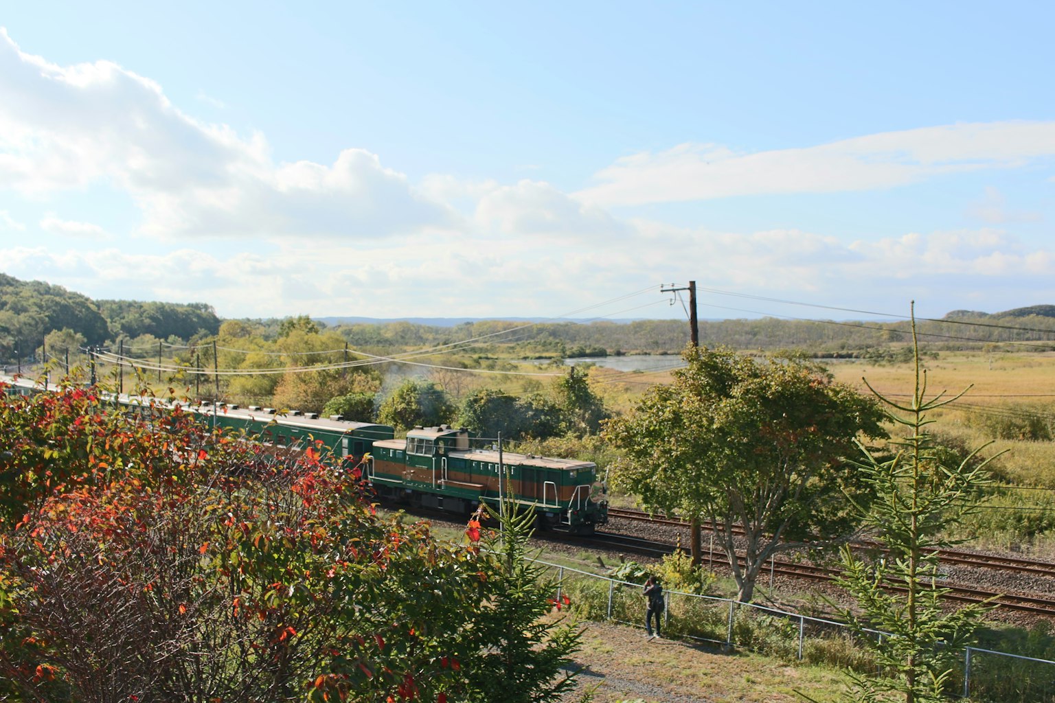 Green train traveling through pastoral landscape