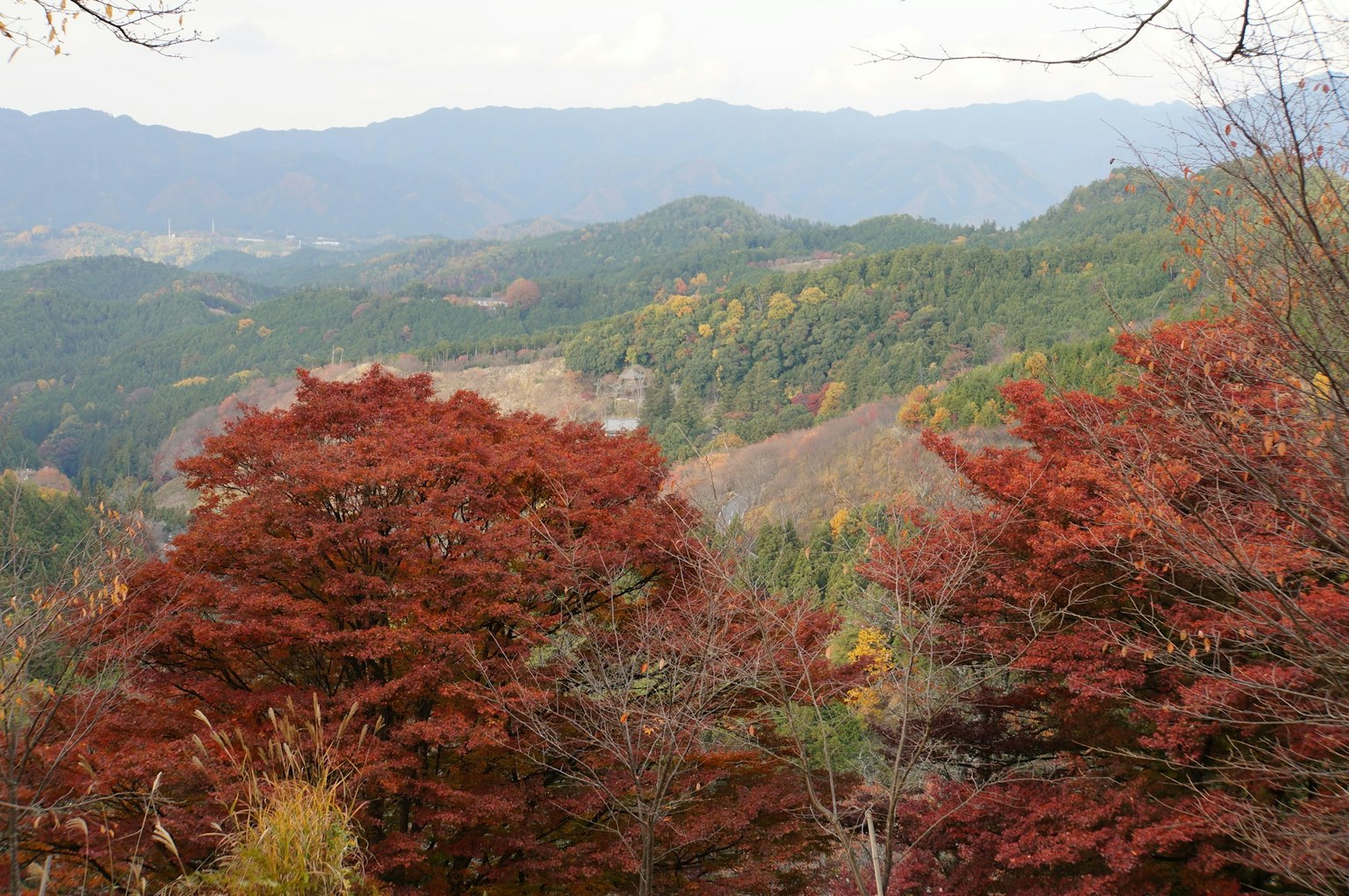 Beautiful landscape with autumn foliage and mountains