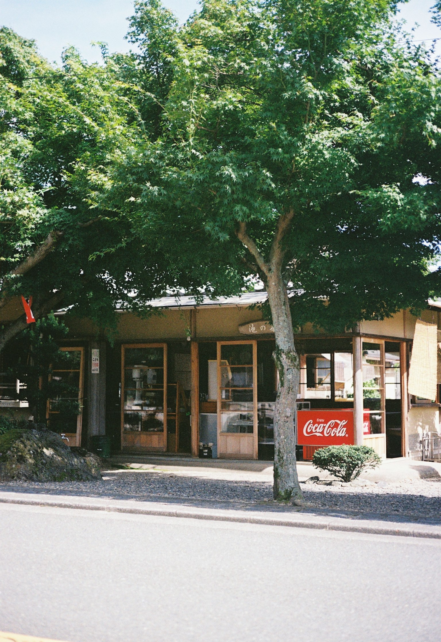 Cafe exterior surrounded by trees with a Coca-Cola sign