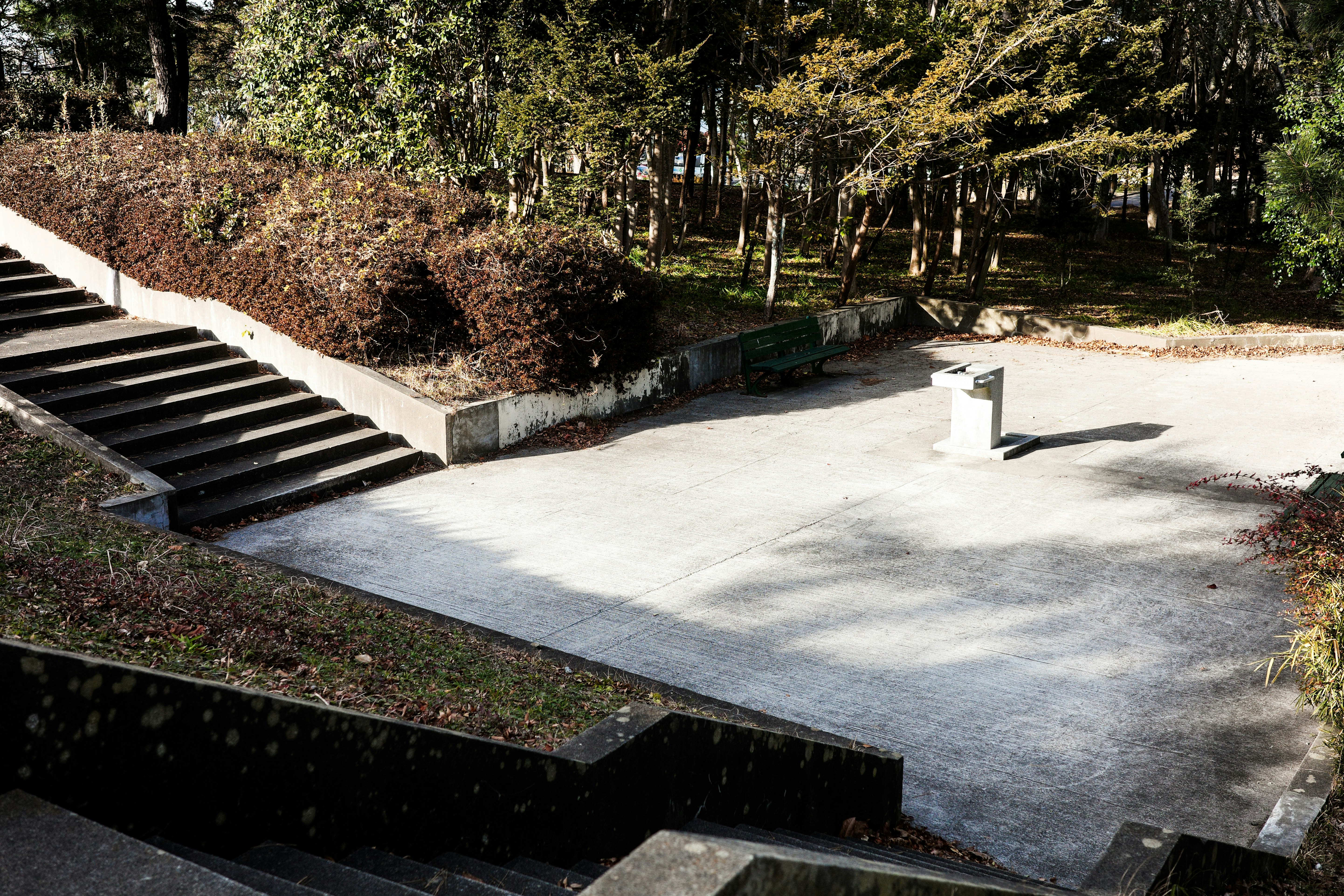 段々の石階段とコンクリートの小道がある公園の斜面
