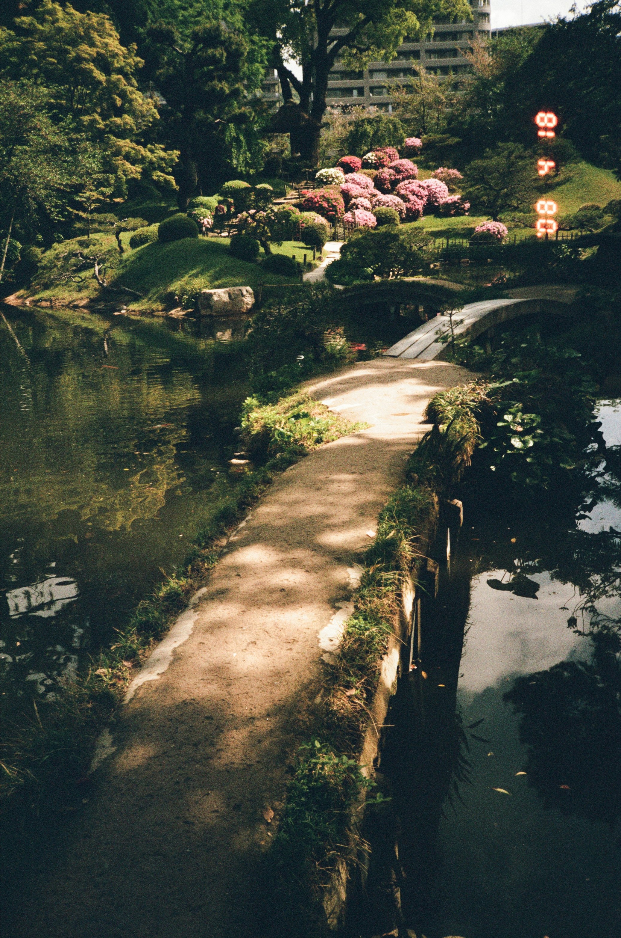 池のほとりを流れる小道とピンクの花が咲く庭園