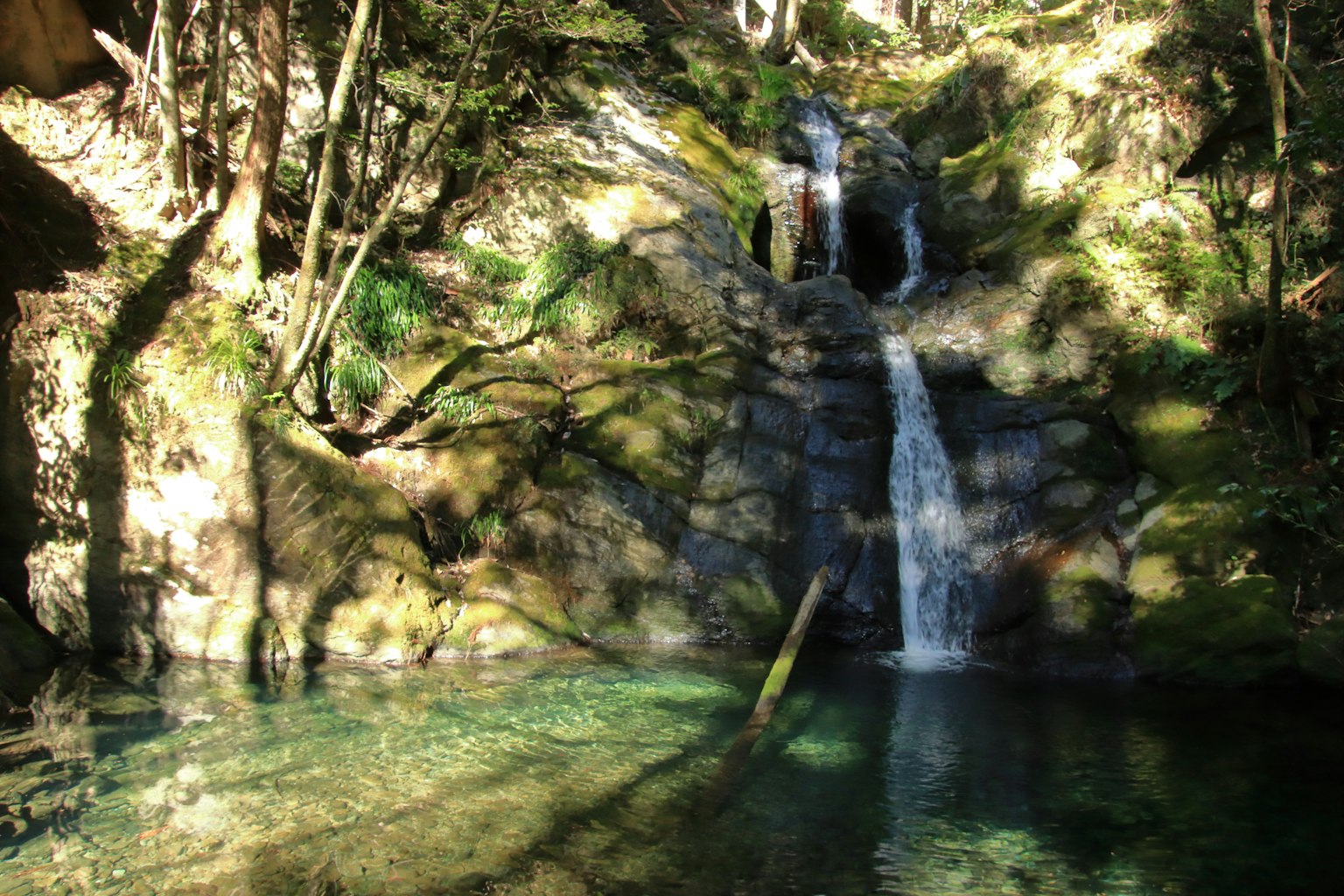 Cascata serena con paesaggio forestale lussureggiante