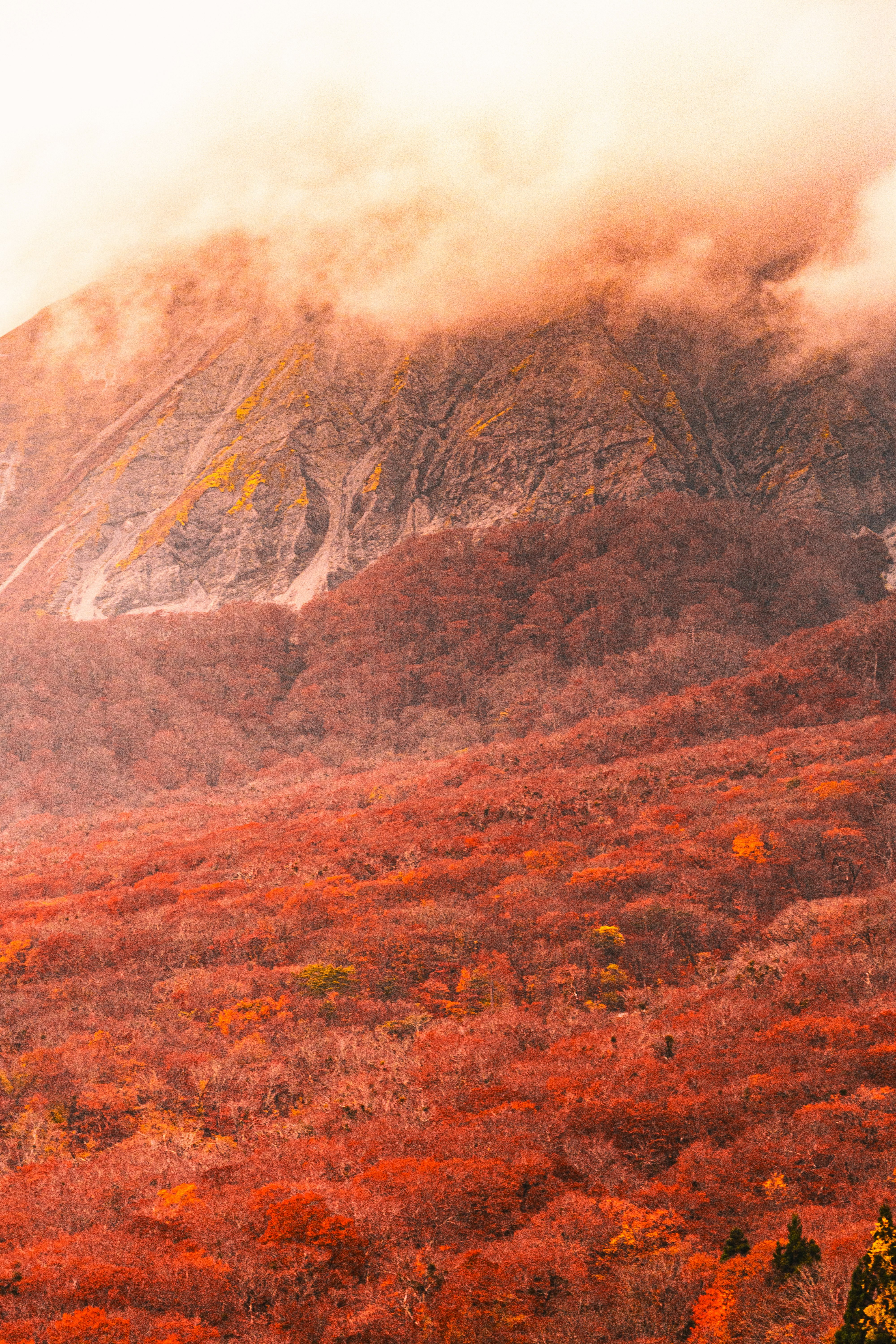 霧のかかった山肌と紅葉の渓谷