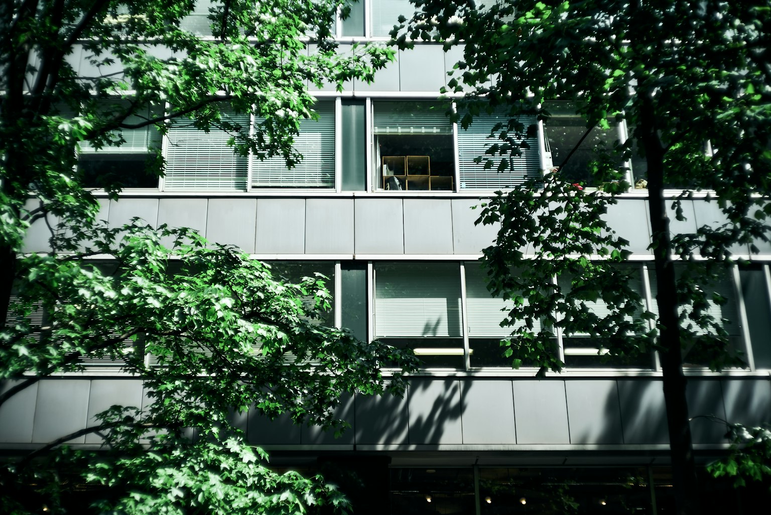 Facciata di un edificio moderno circondata da alberi verdi