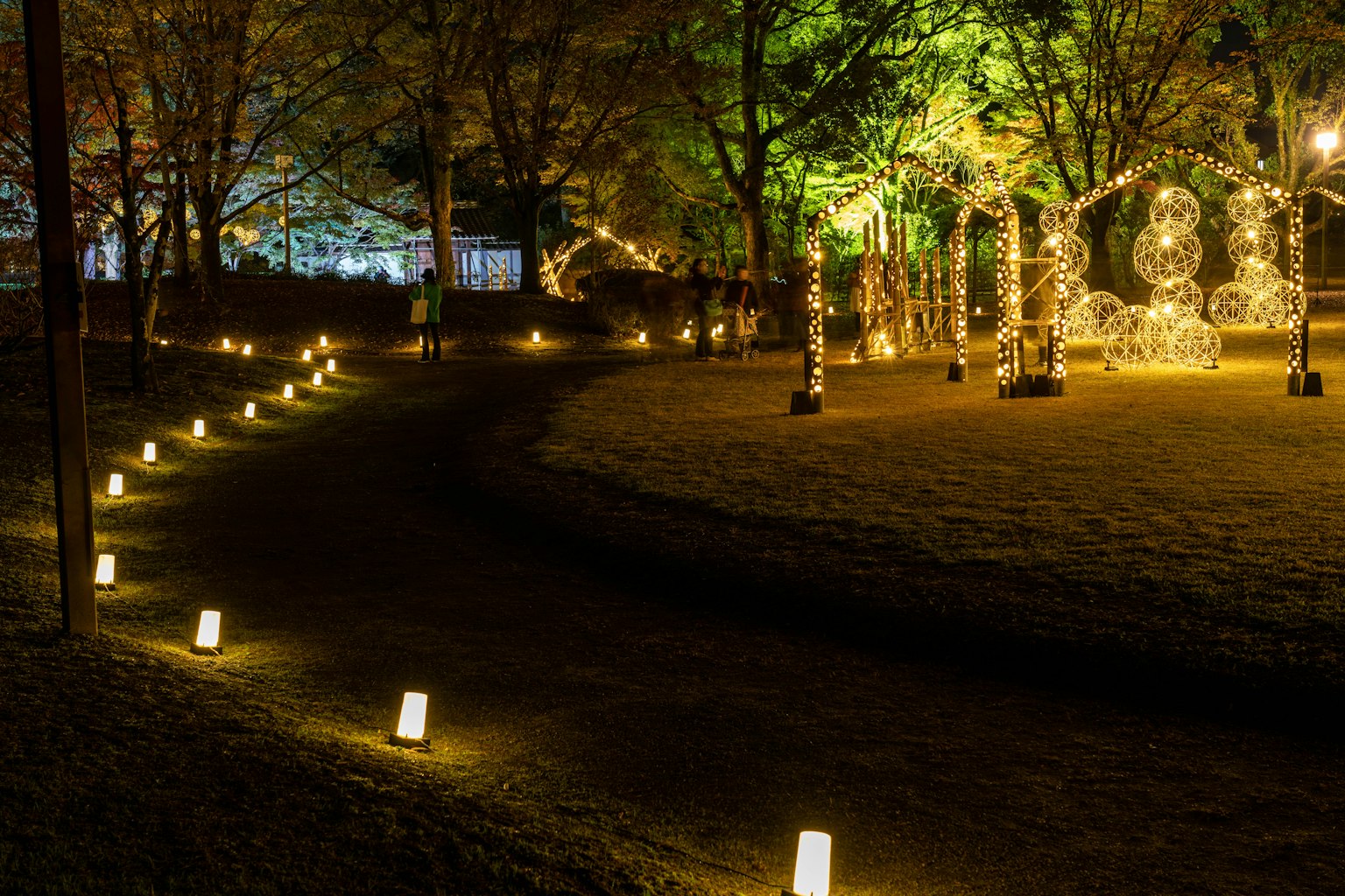 Beautiful night scene of a park with lanterns lining the path and illuminated green trees
