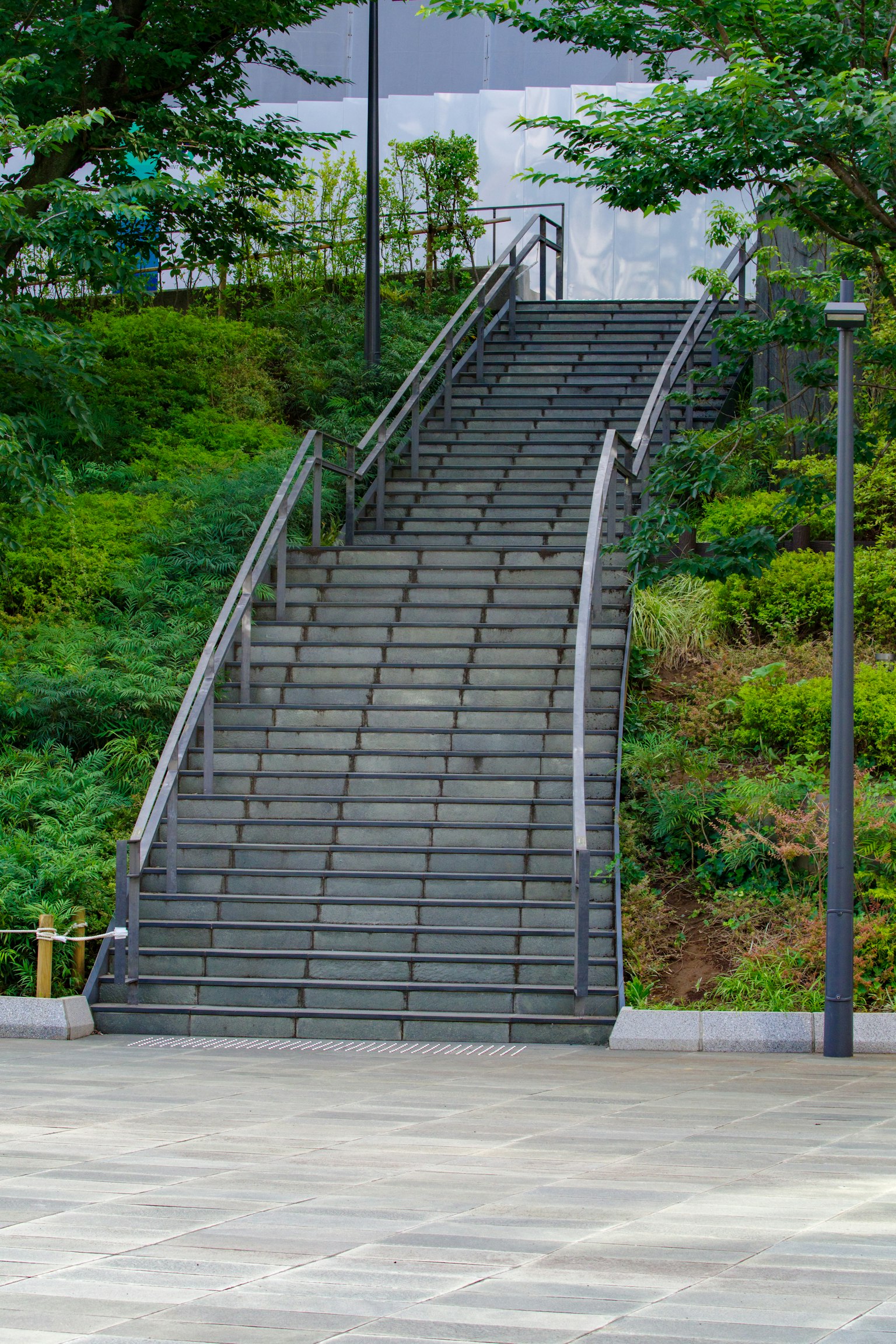 Curved staircase surrounded by greenery