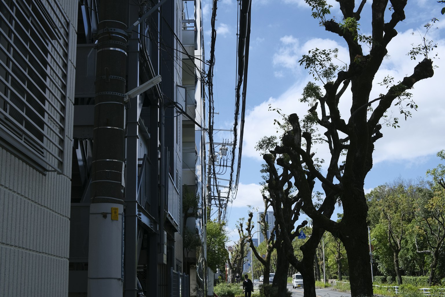 Paisaje urbano con árboles y fachada de un edificio bajo un cielo azul