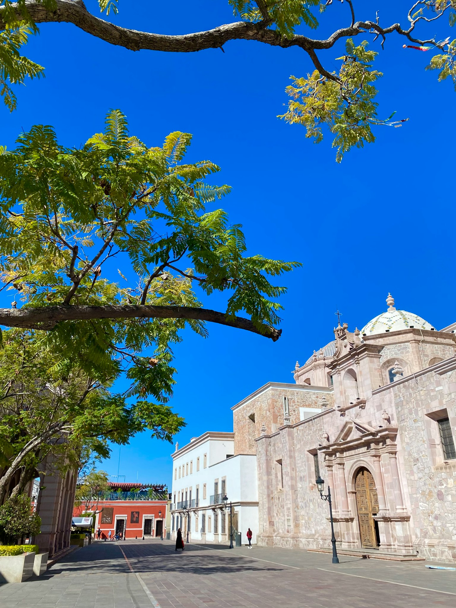Historische Kirche und Bäume unter einem klaren blauen Himmel