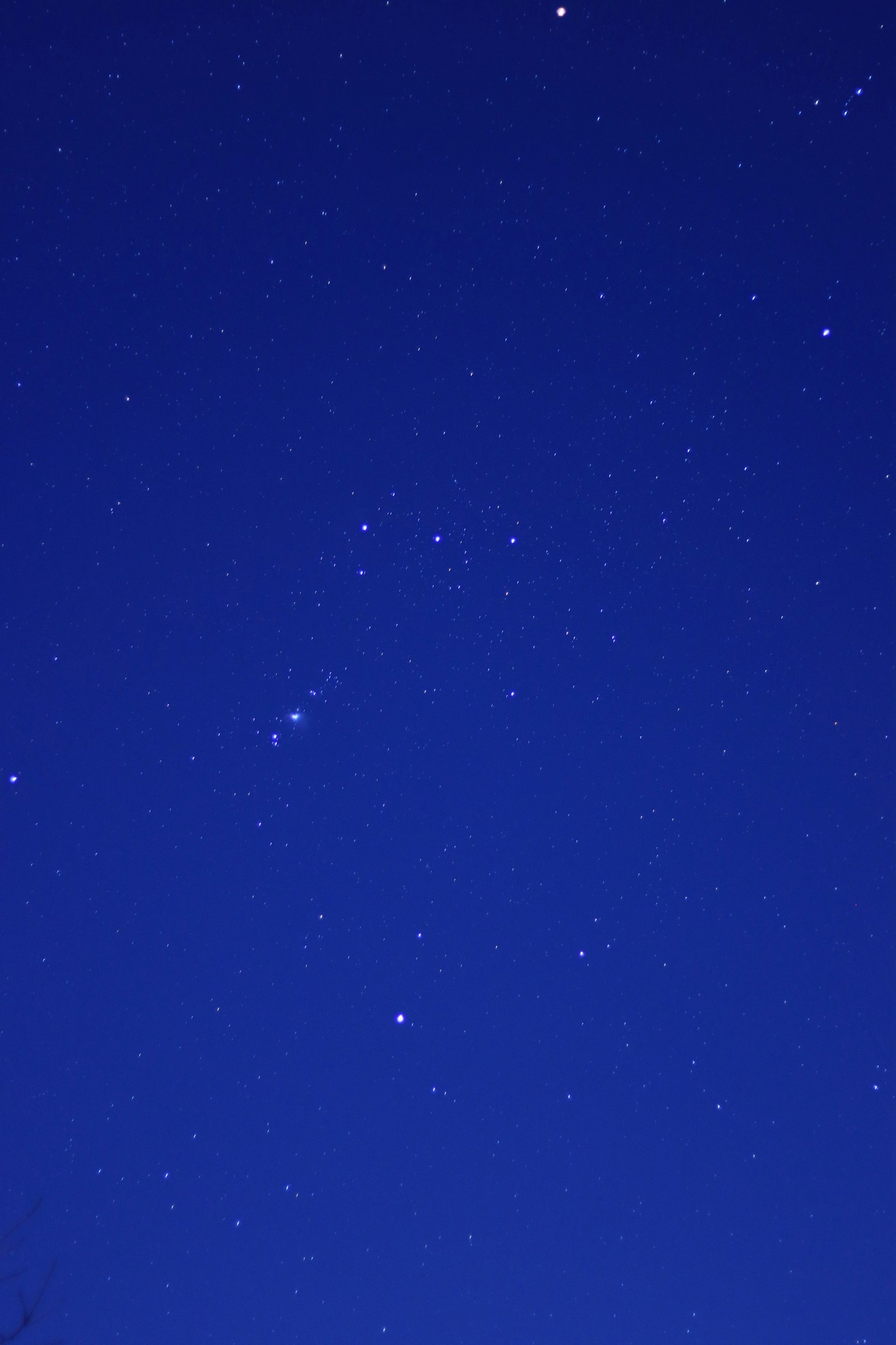 深藍色天空中閃爍的星星的美麗景象