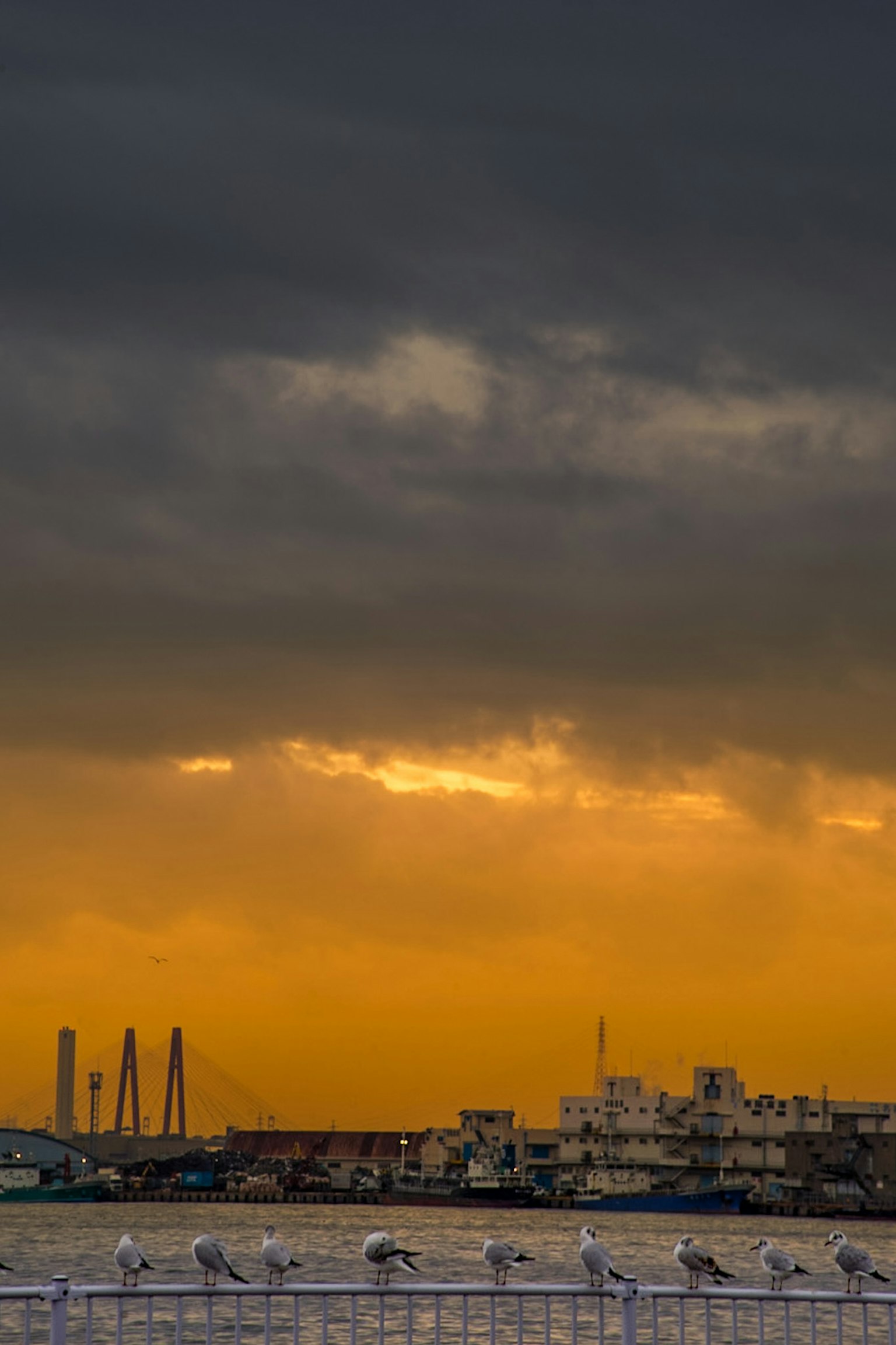 Coastal landscape with dark clouds and orange sunset