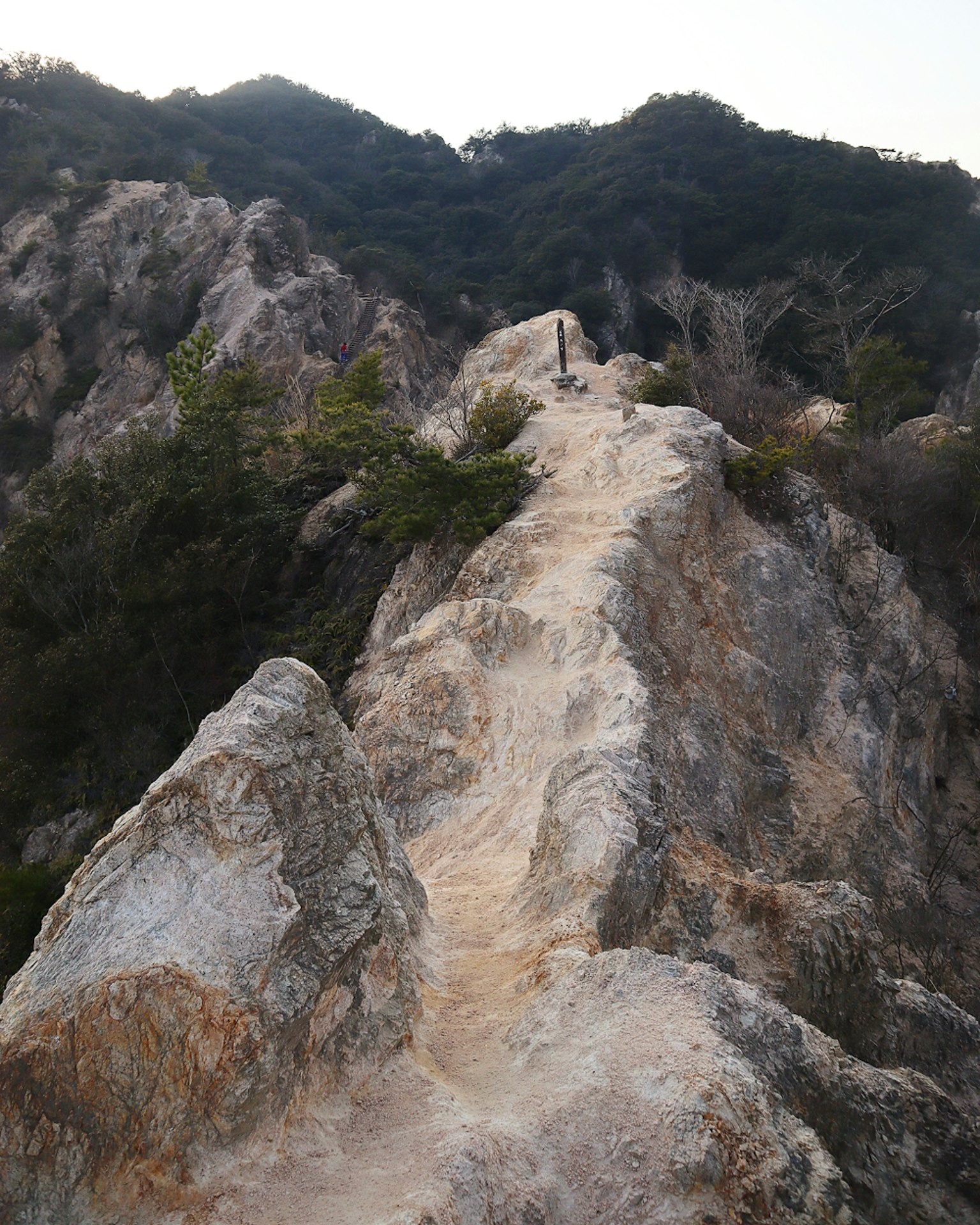 Sentier rocheux étroit serpentant à travers un terrain montagneux avec de la verdure
