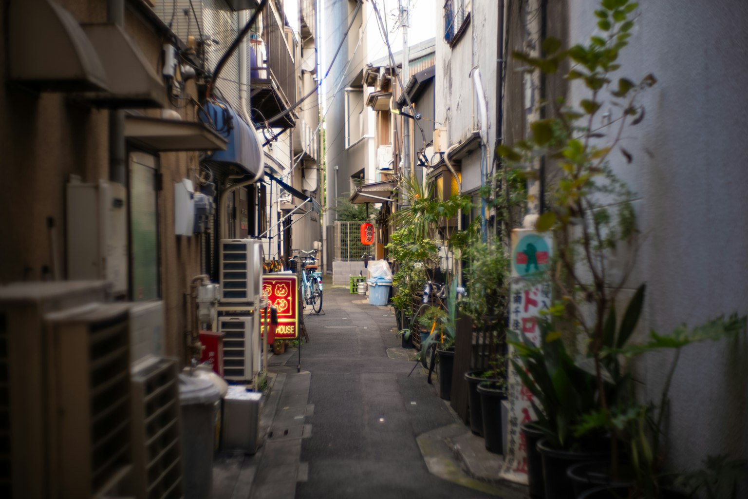 Allée étroite bordée de plantes et de magasins