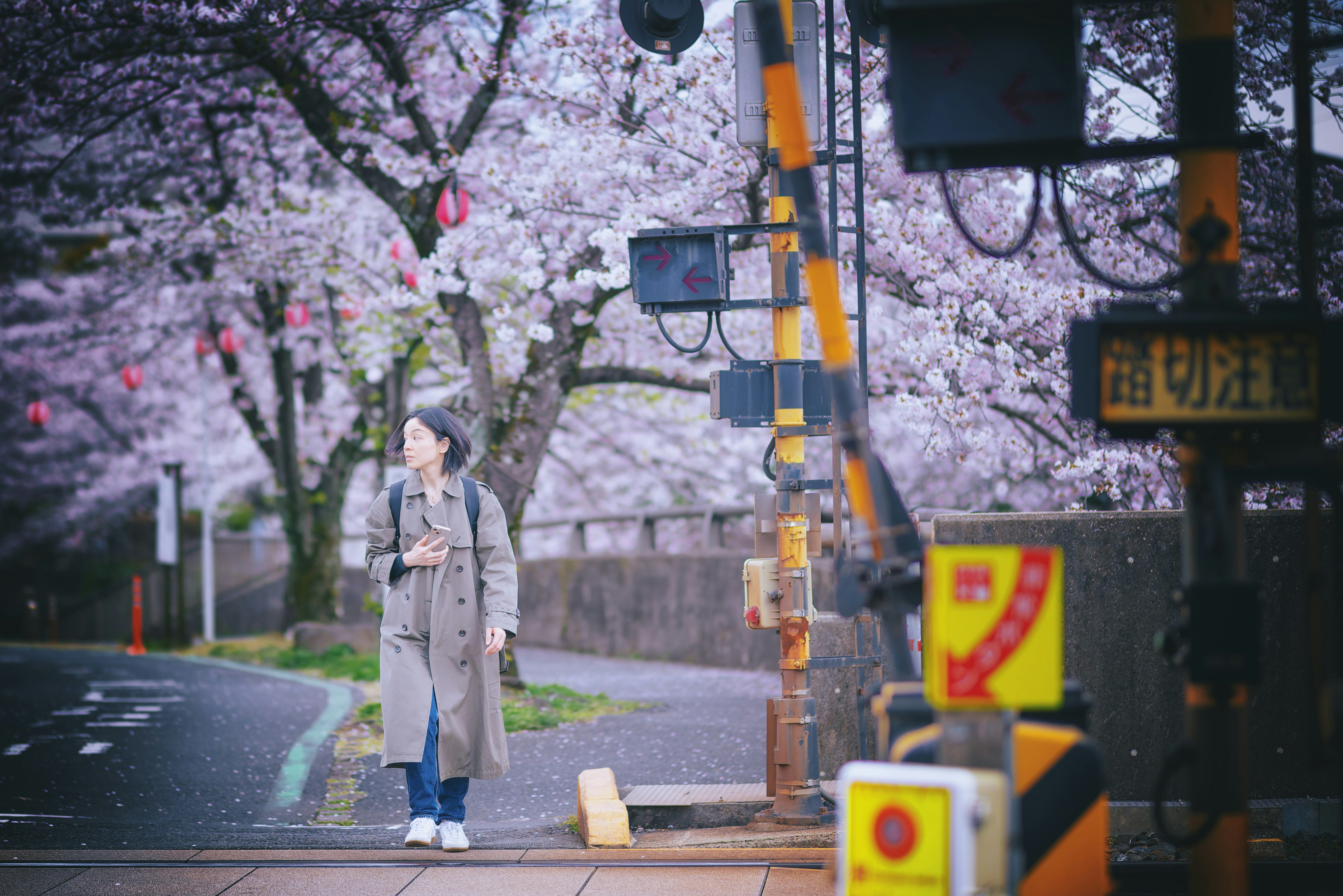 桜並木の路地で立つ女性