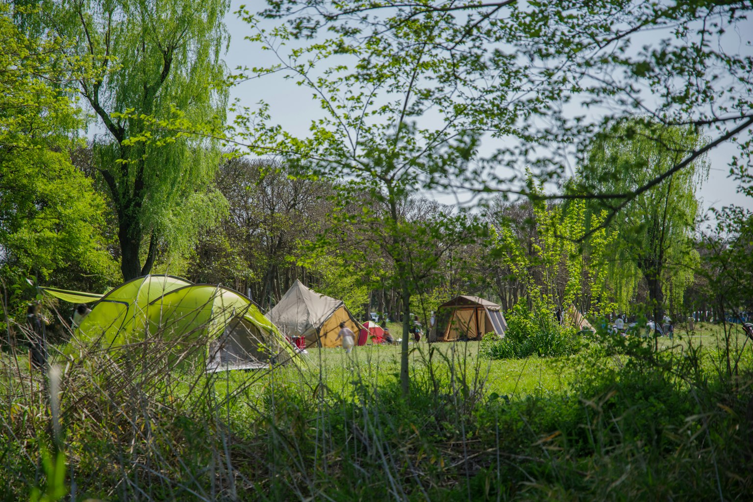 Scenic view of a camping site with tents surrounded by lush greenery