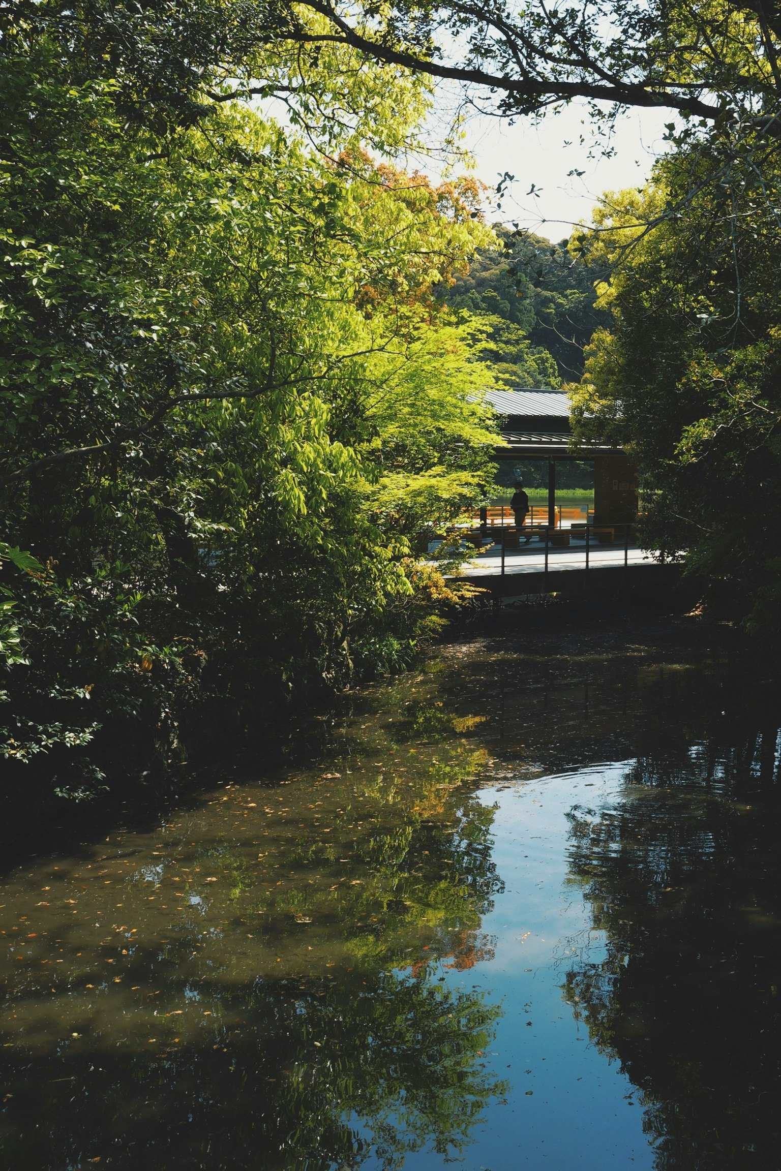 Eine ruhige Landschaft mit einer Holzbrücke, umgeben von üppigem Grün und im ruhigen Wasser reflektiert