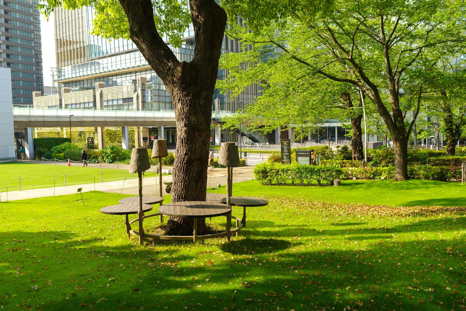 Un grande albero in un parco verde con tavoli e sedie circostanti