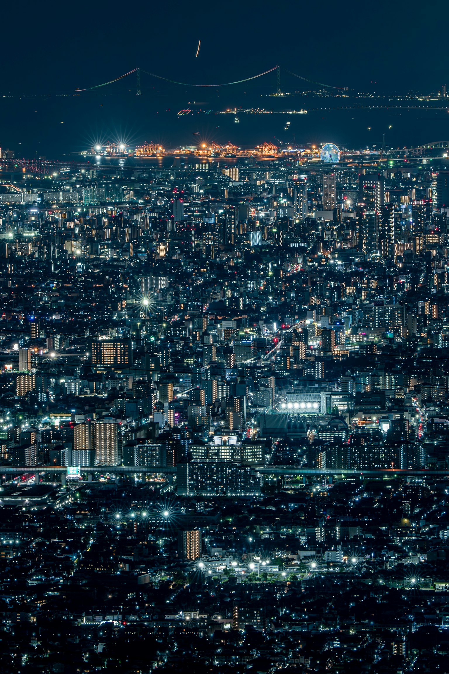 夜晚城市的全景 明亮的建筑和城市灯光 背景中可见桥梁和海洋
