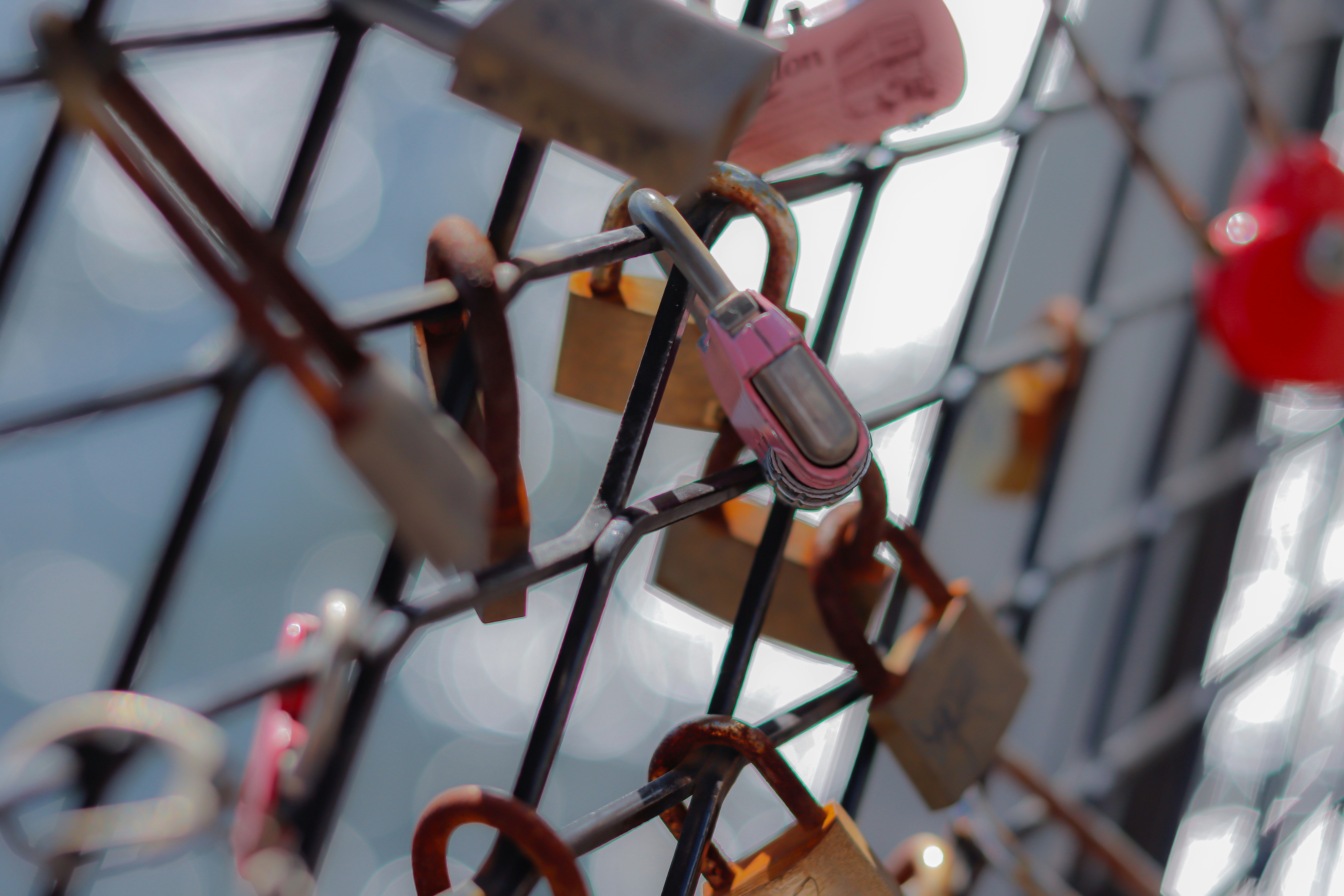 Close-up of padlocks on a bicycle frame