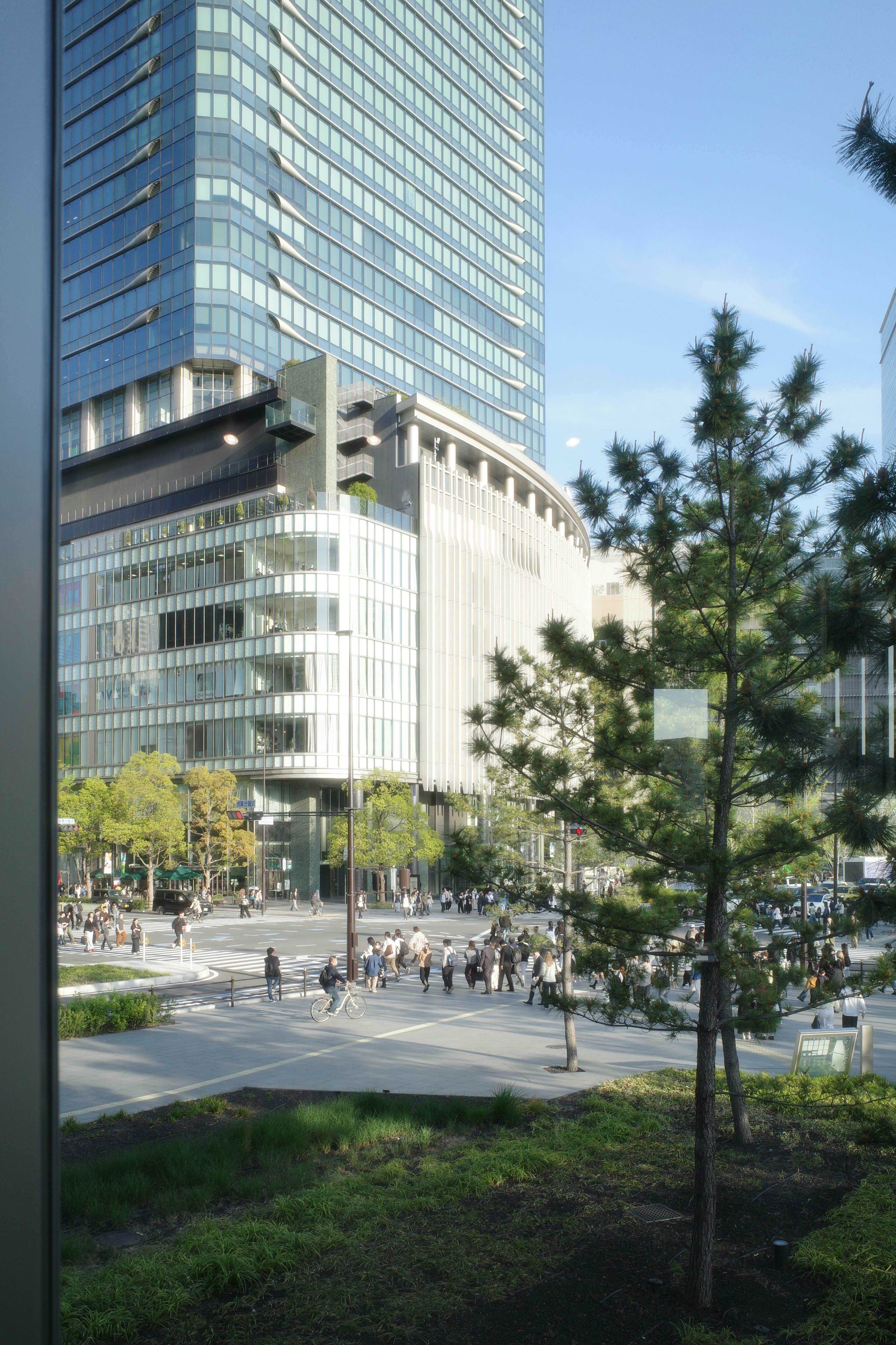 大阪の街路樹と高層ビルが並ぶ大通りの風景