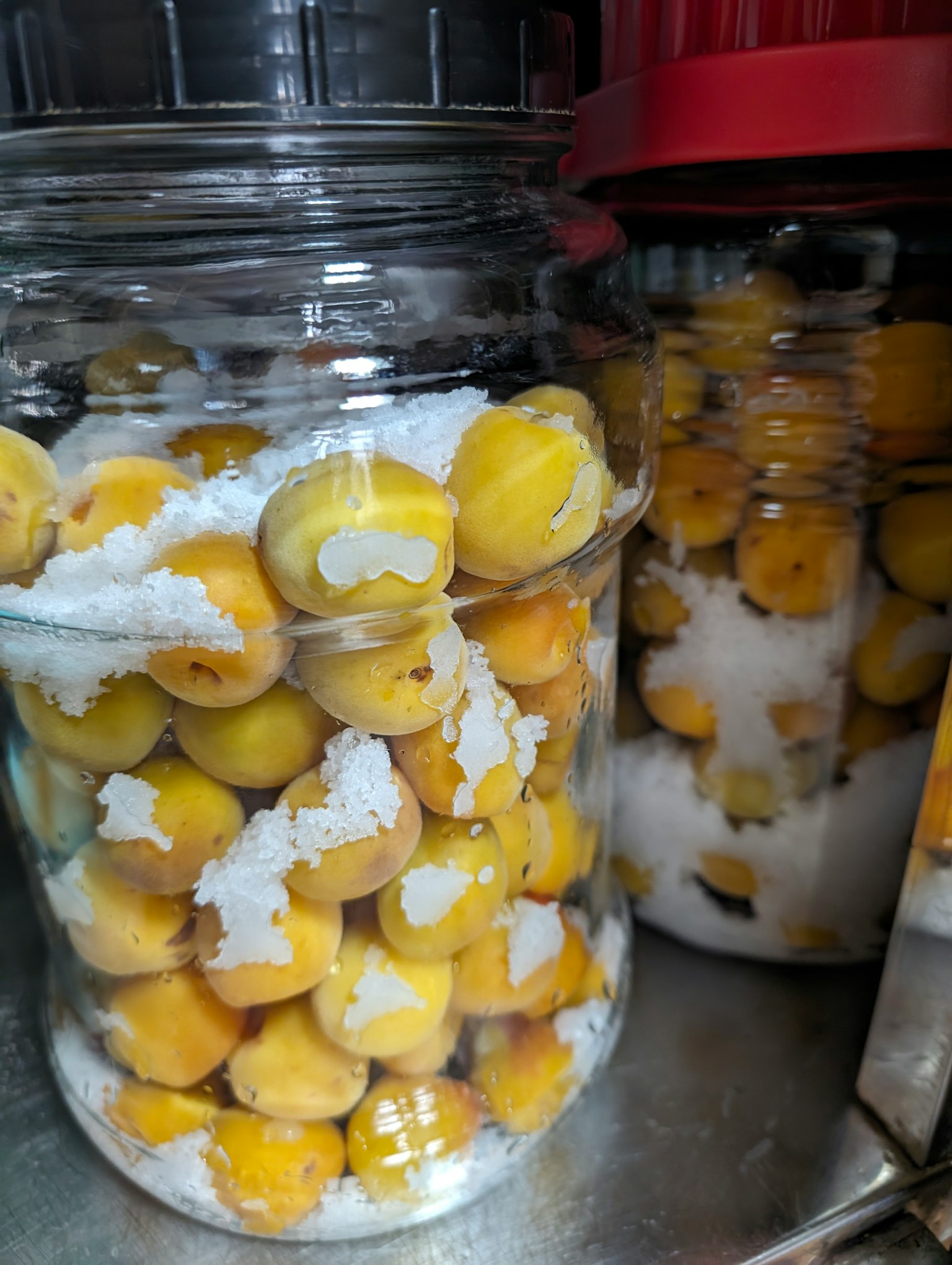 Vasi pieni di prugne gialle salate