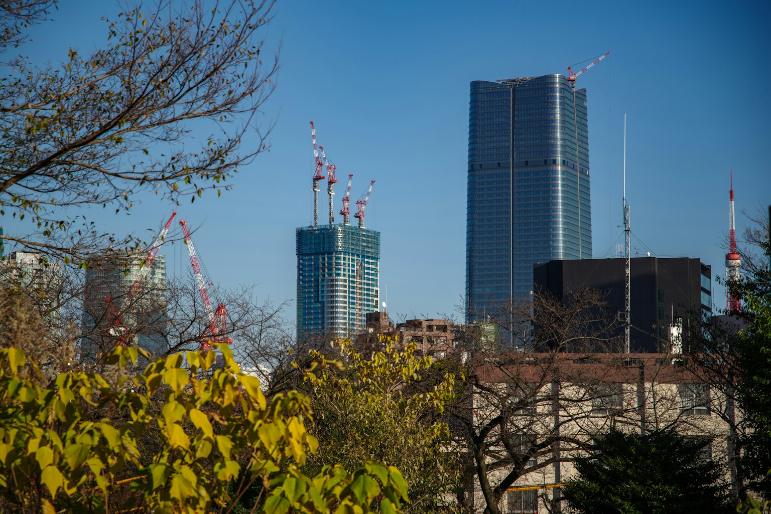 Horizon urbain avec des gratte-ciels et des grues de construction