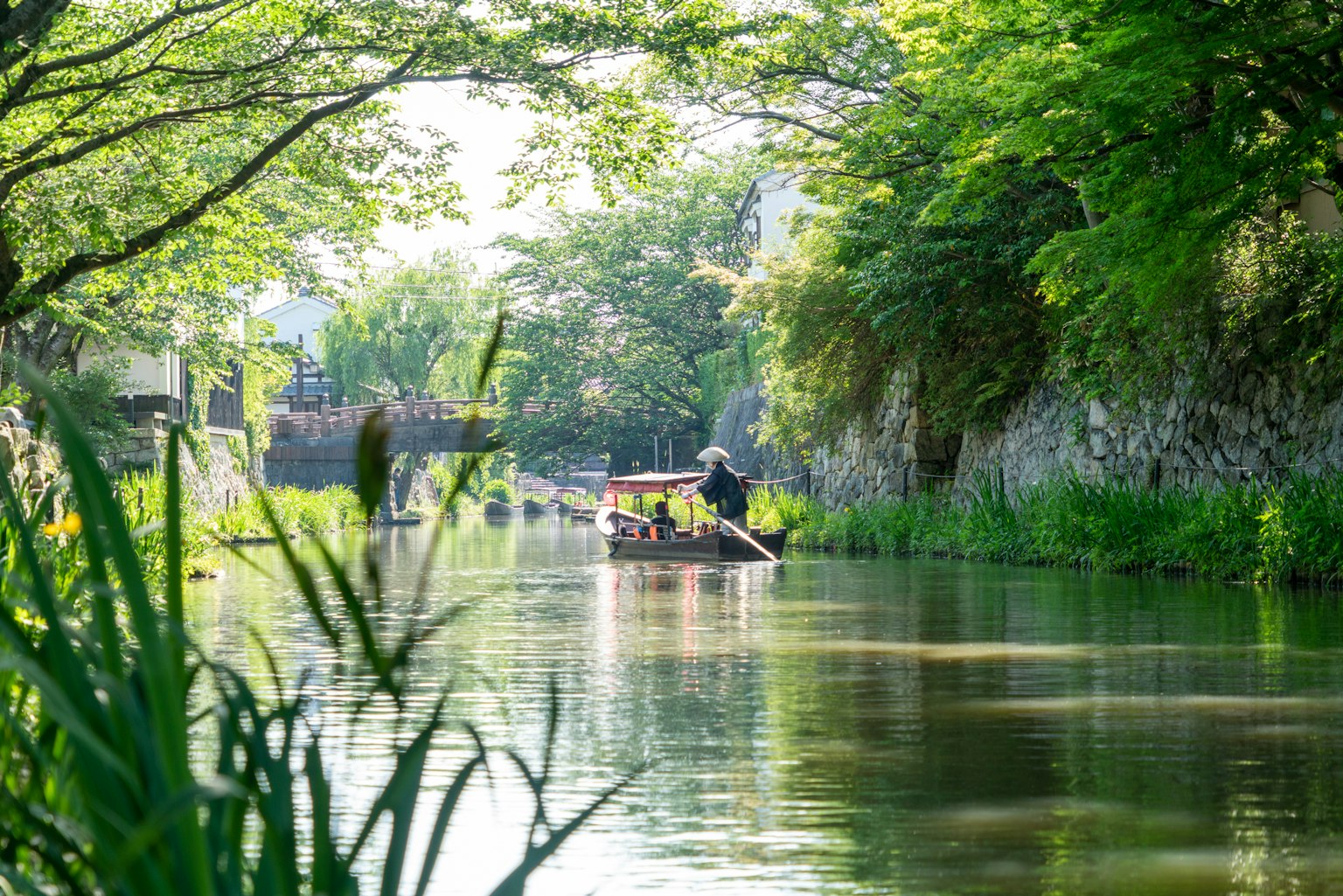 Một chiếc thuyền nổi trên dòng sông yên tĩnh, xung quanh là cây cối xanh tươi