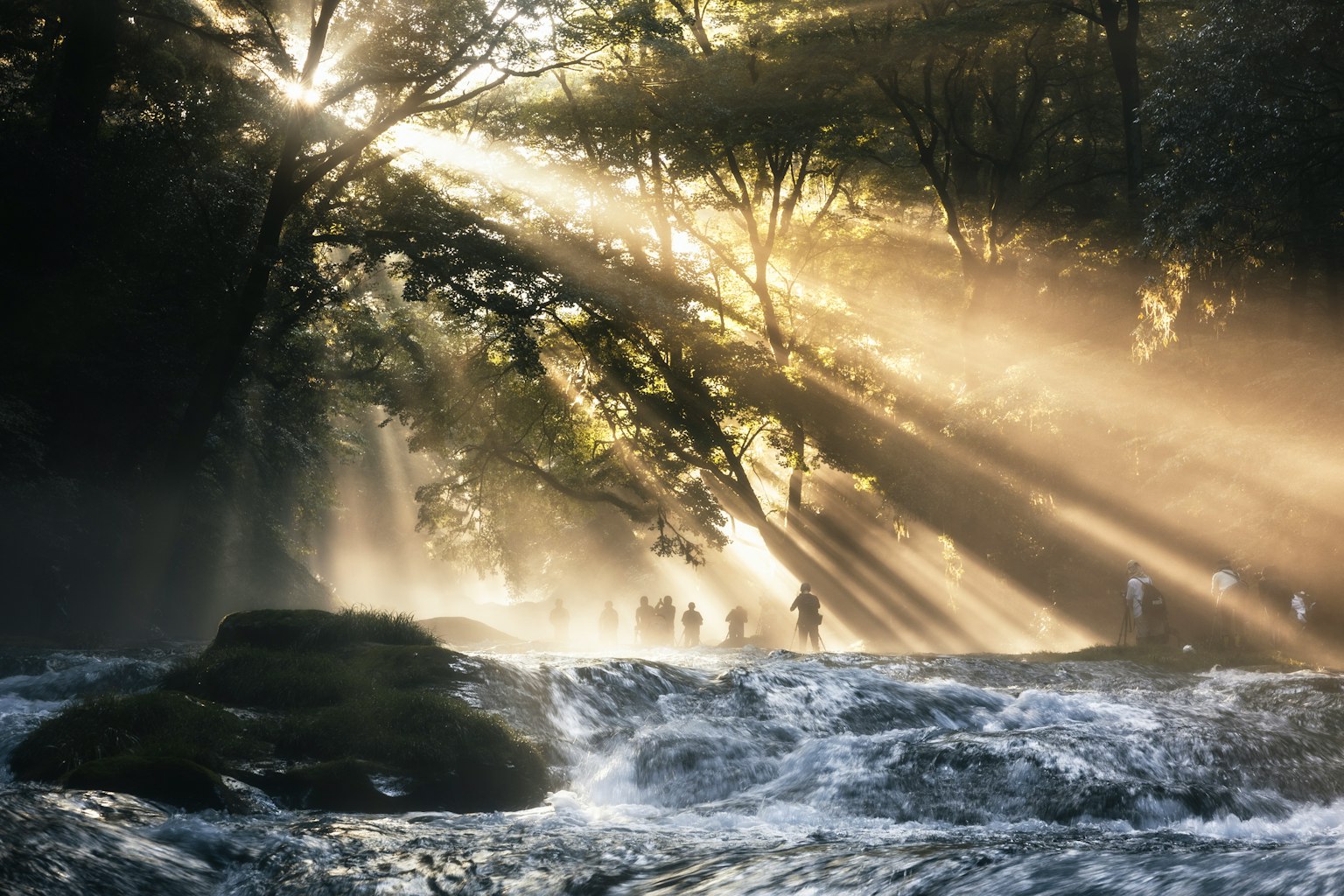 Bellissimo paesaggio di un fiume che scorre attraverso una foresta con raggi di sole