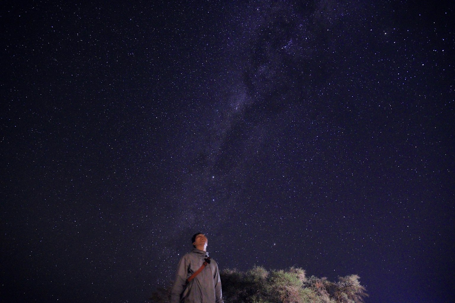 Persona in piedi sotto un cielo stellato con numerose stelle